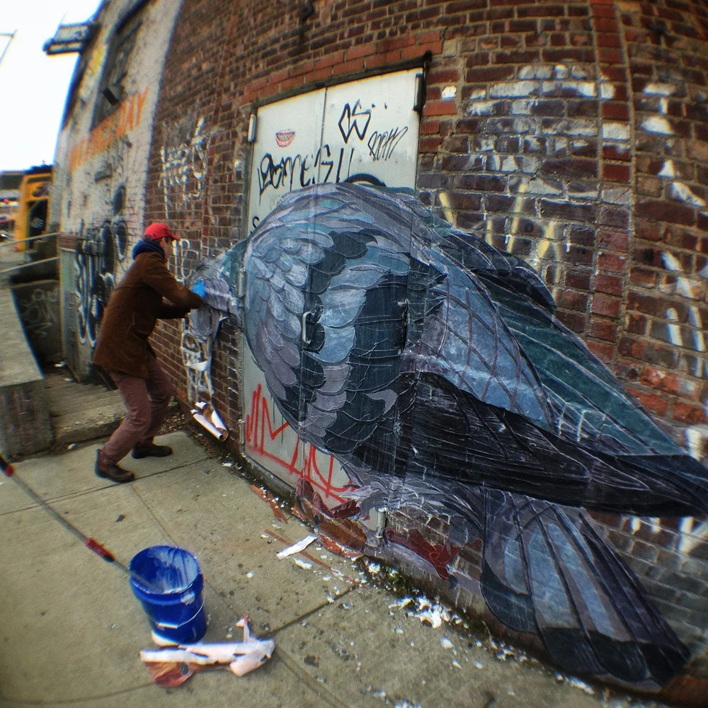 Tastes Like Chicken install, 2013
