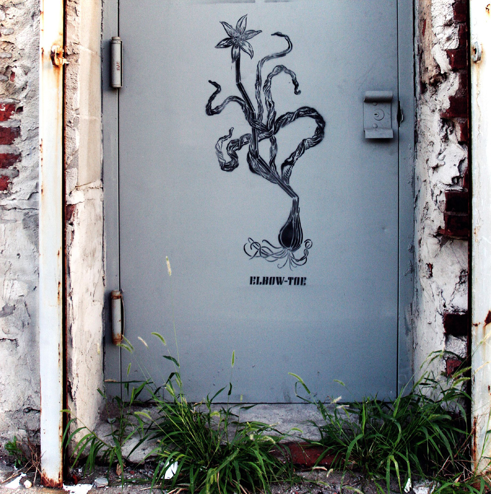 Tulip, 2007