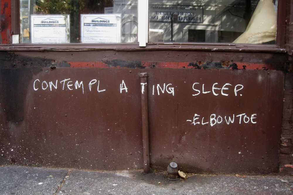 Contemplating Sleep, 2009