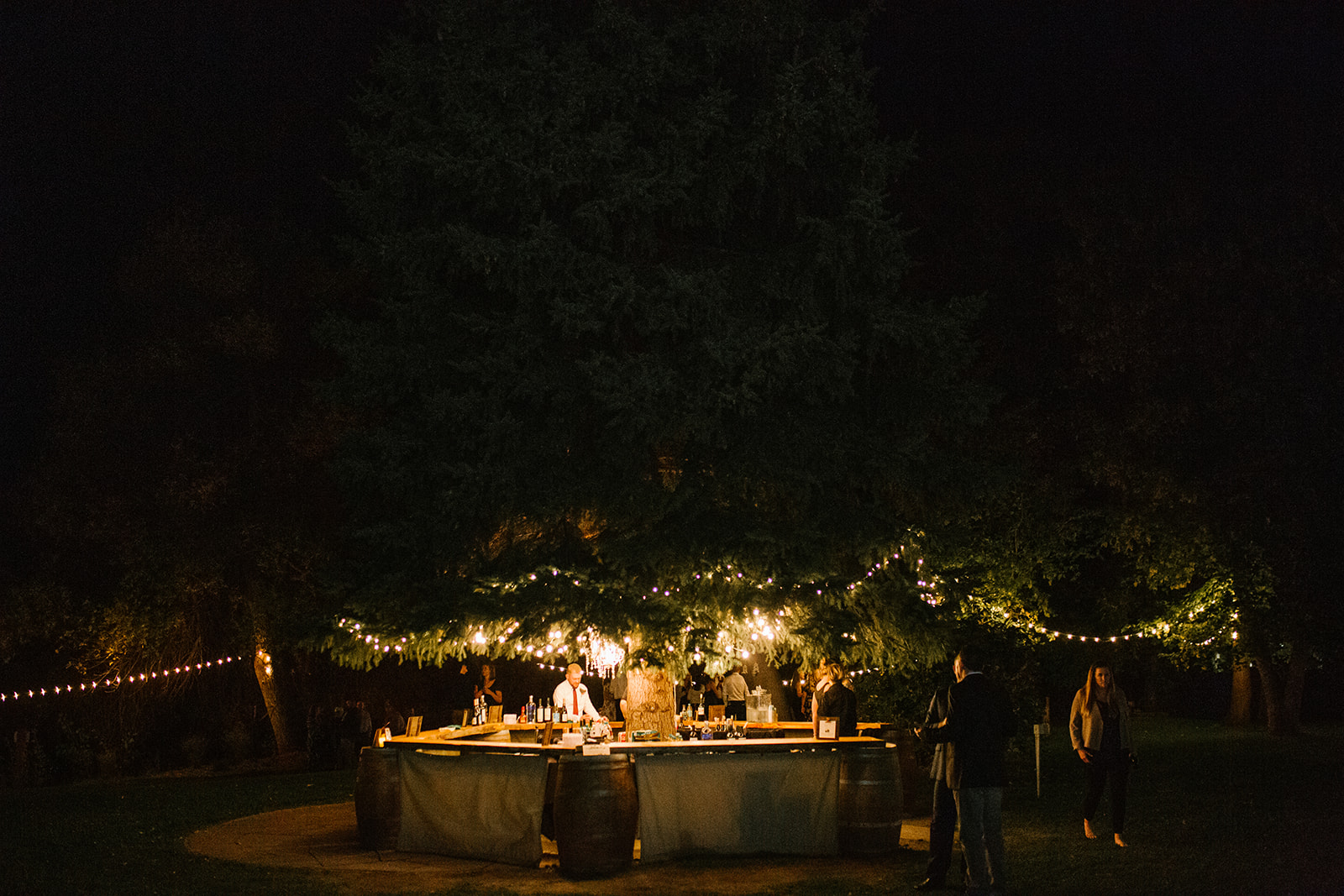 alchemycreativebybrittanyslaughter-lyonsriverbendwedding-aleahkelly-1228.jpg
