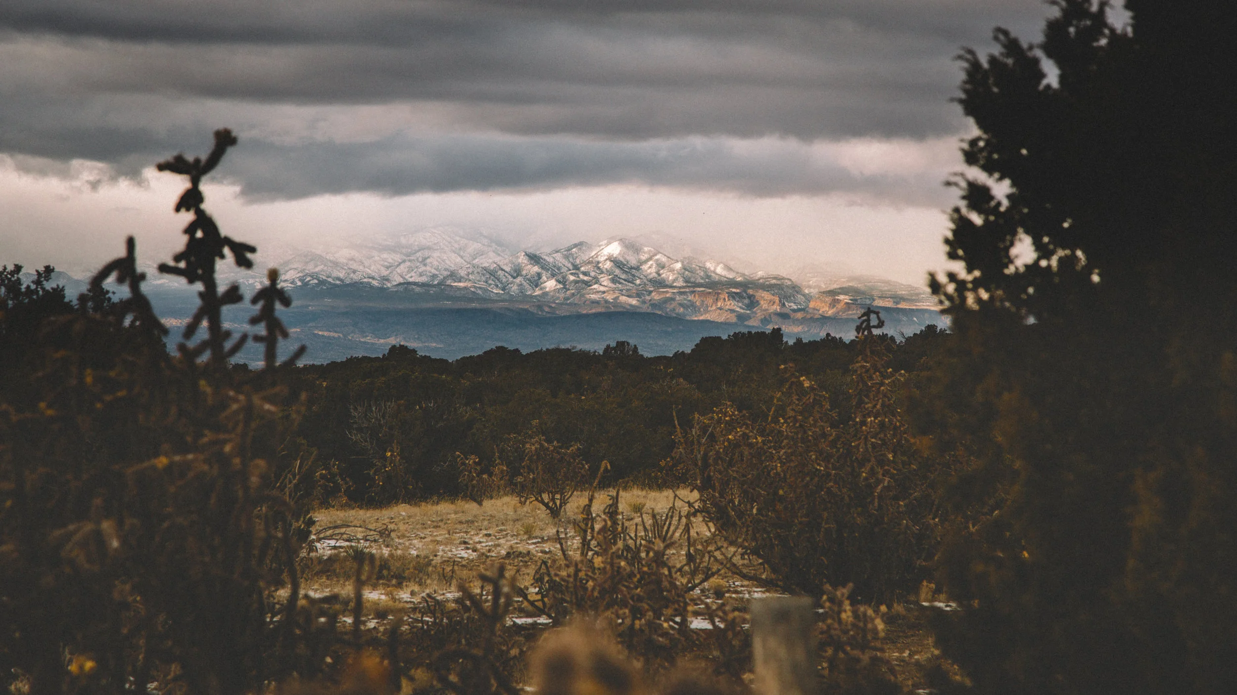 New Mexico-2.jpg