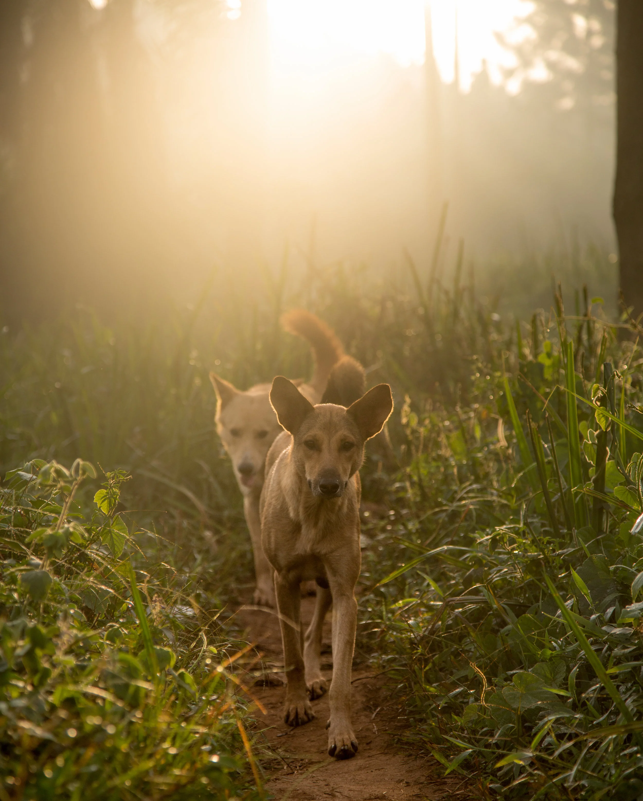 Uganda Gallery-9.jpg