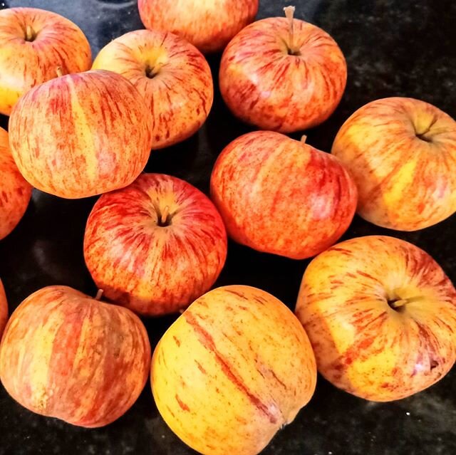 Joyous bounty 🍎 Destined to become dried apple rings to accompany walnuts and cheeses with a Sunday afternoon tipple in front of a winter fire 🔥
..
#foodie #foodstagram #identity #apple #homestead