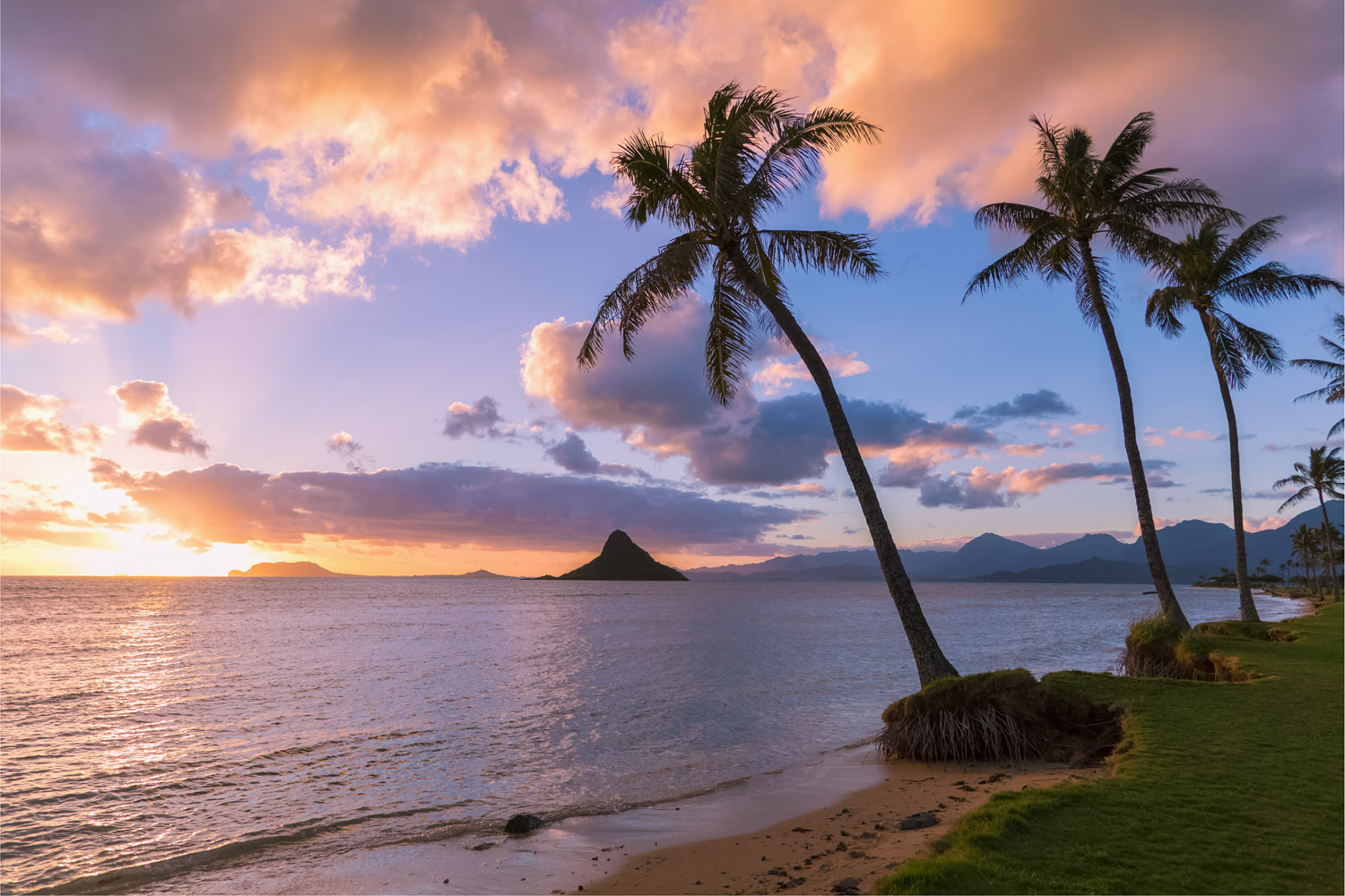 _DP_kualoa-beach-9598_web.jpg