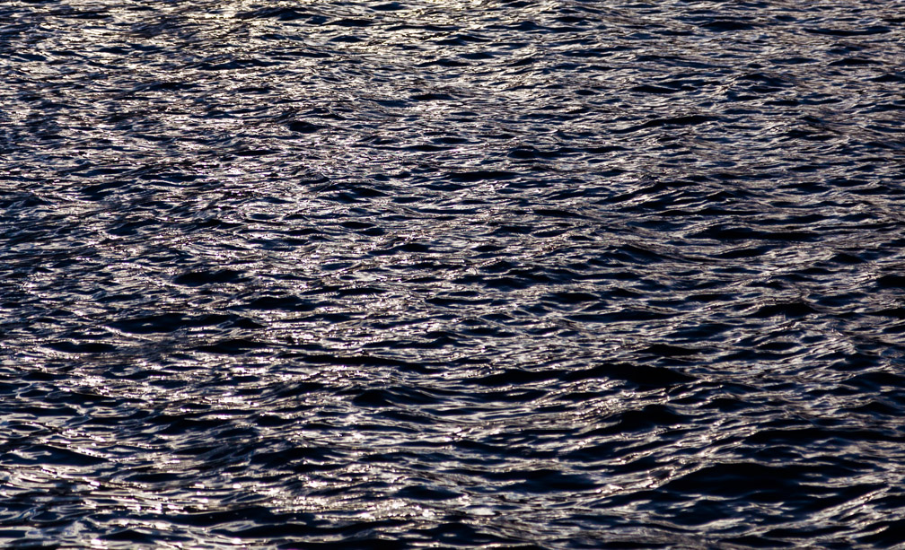 060814-4-1358_web-crop.jpg