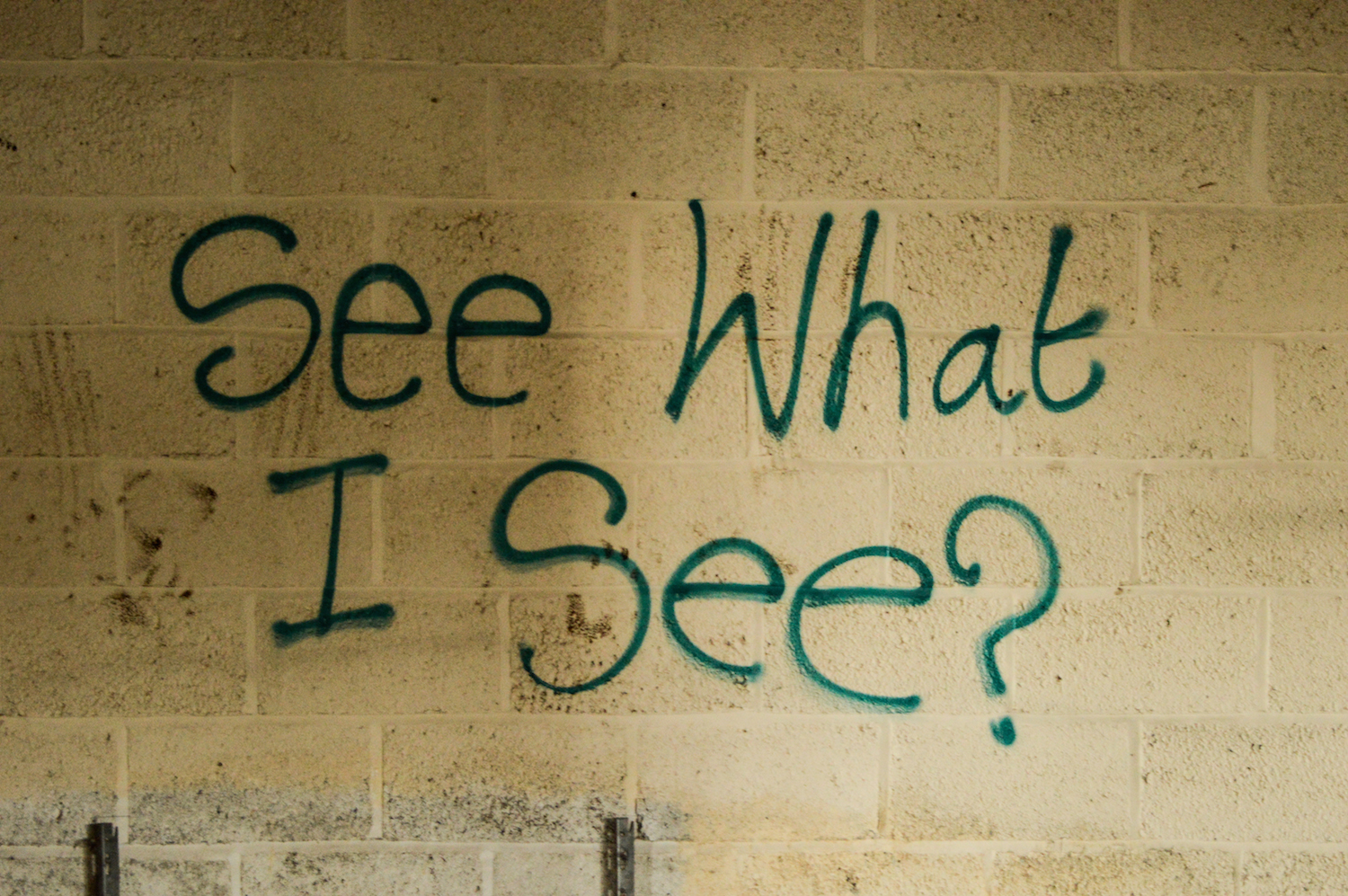 Pigs Still Porkin' (Another Negro Summer) - Video OUT NOW.