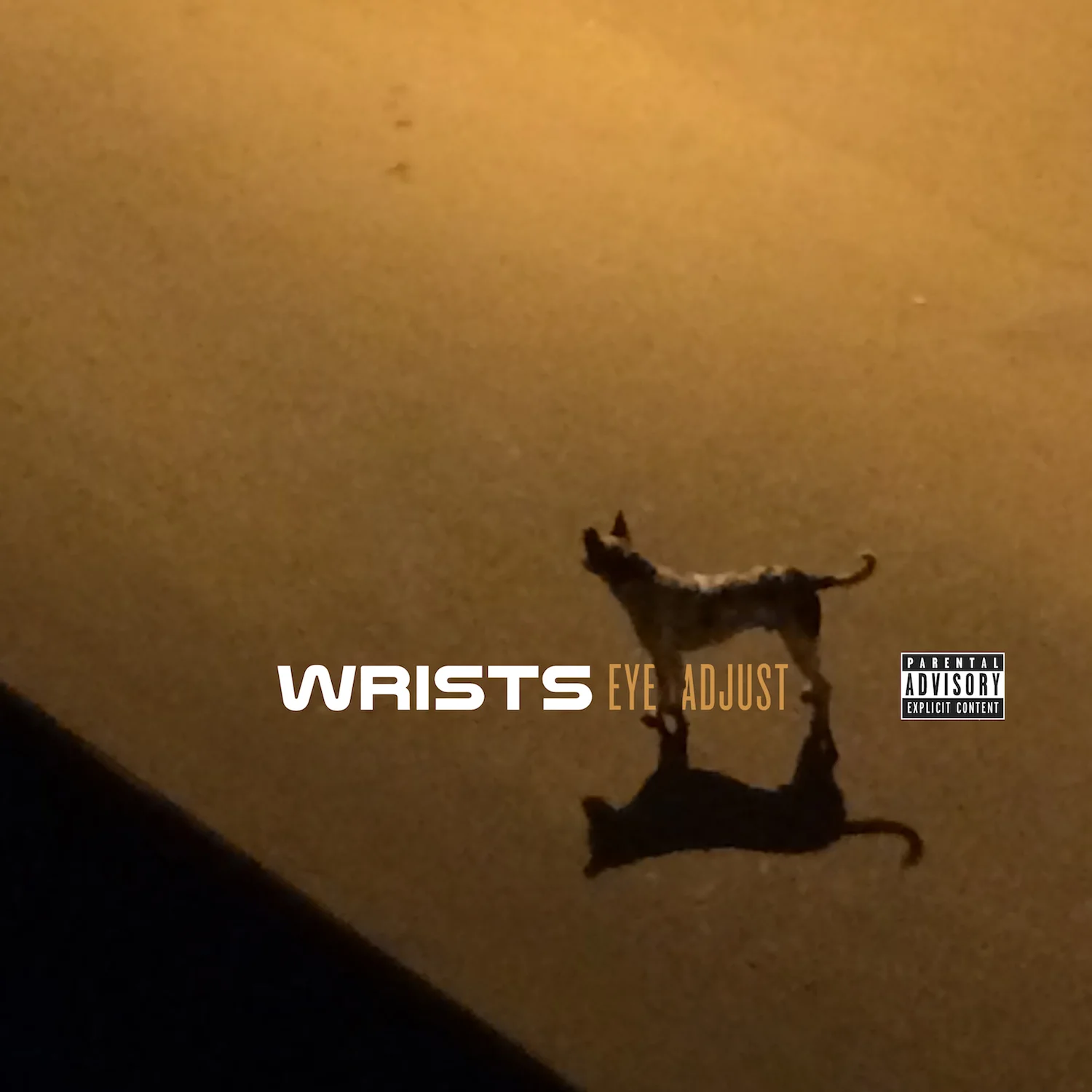 Eye Adjust - The New Single - OUT NOW