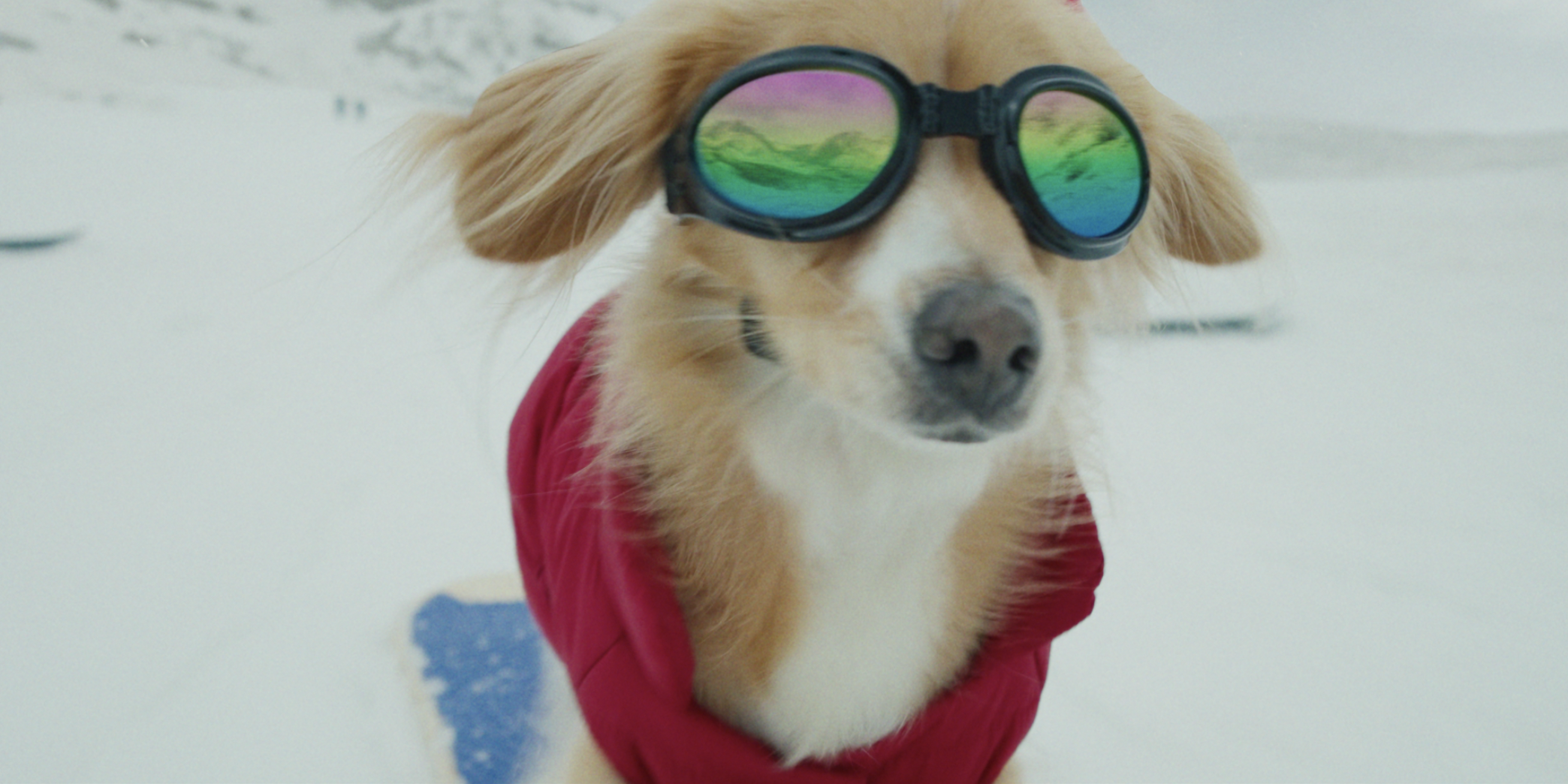 Screenshot 2023-10-27 at 13.10.23.png