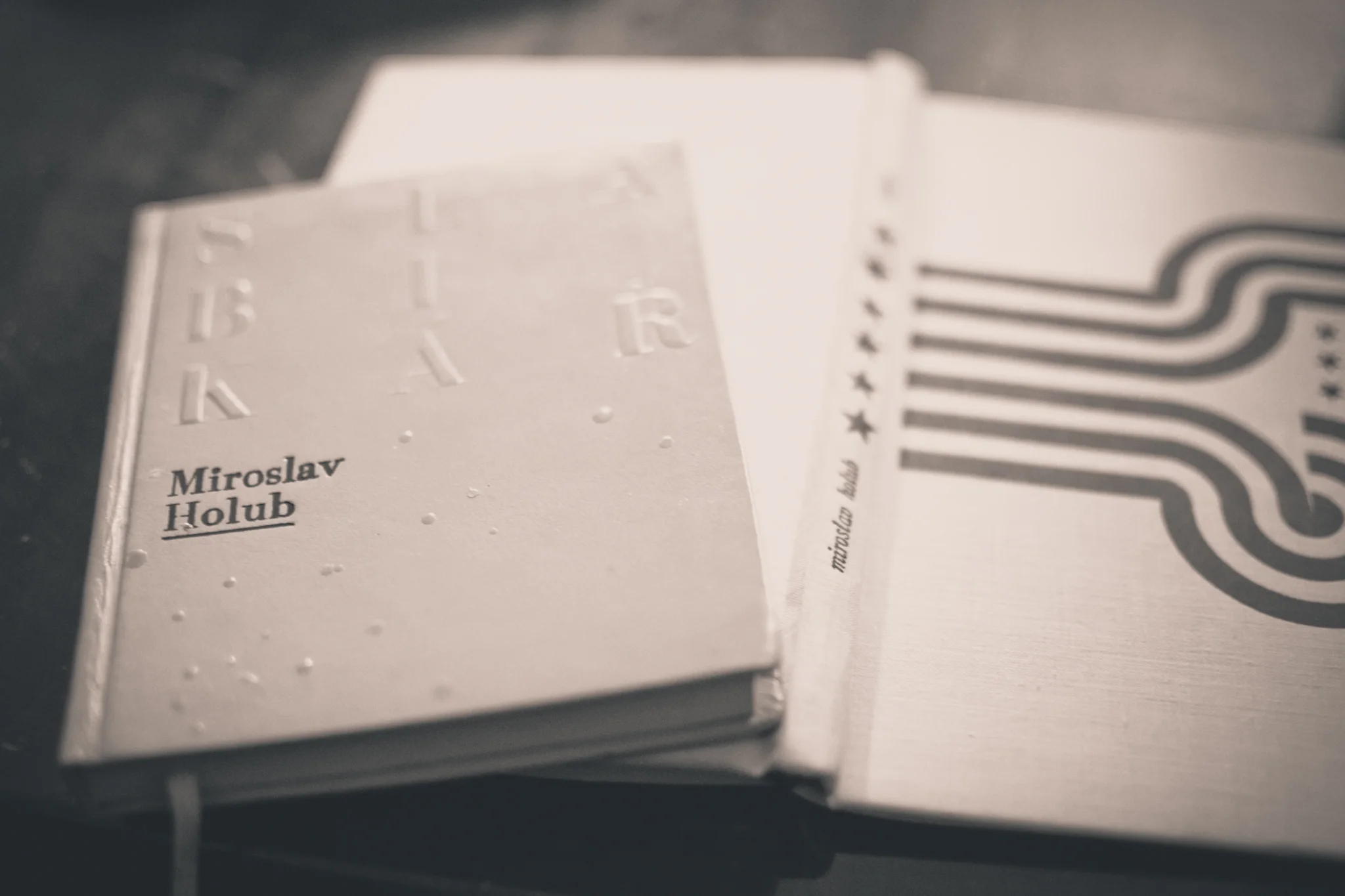 Dopplerův efekt. Stručné úvahy o Miroslavu Holubovi