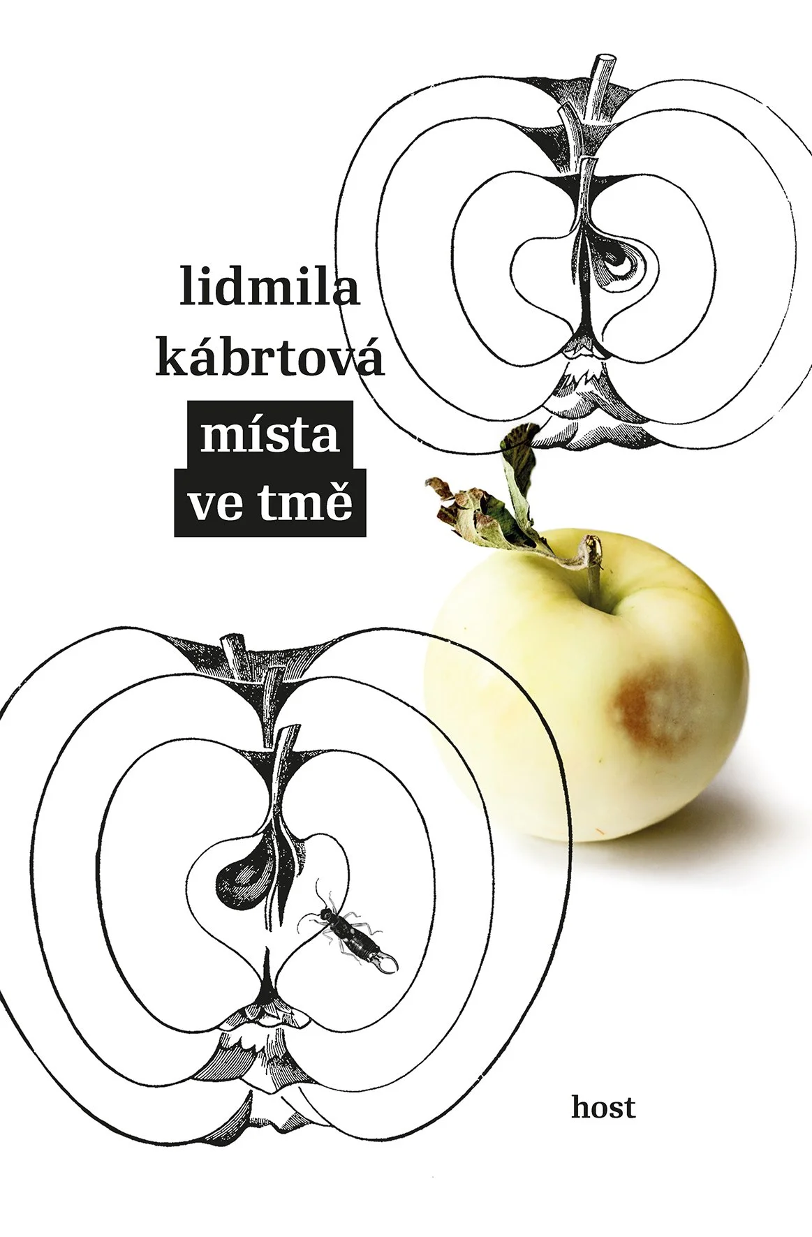 Fra Book Club: Lidmila Kábrtová, Místa ve tmě