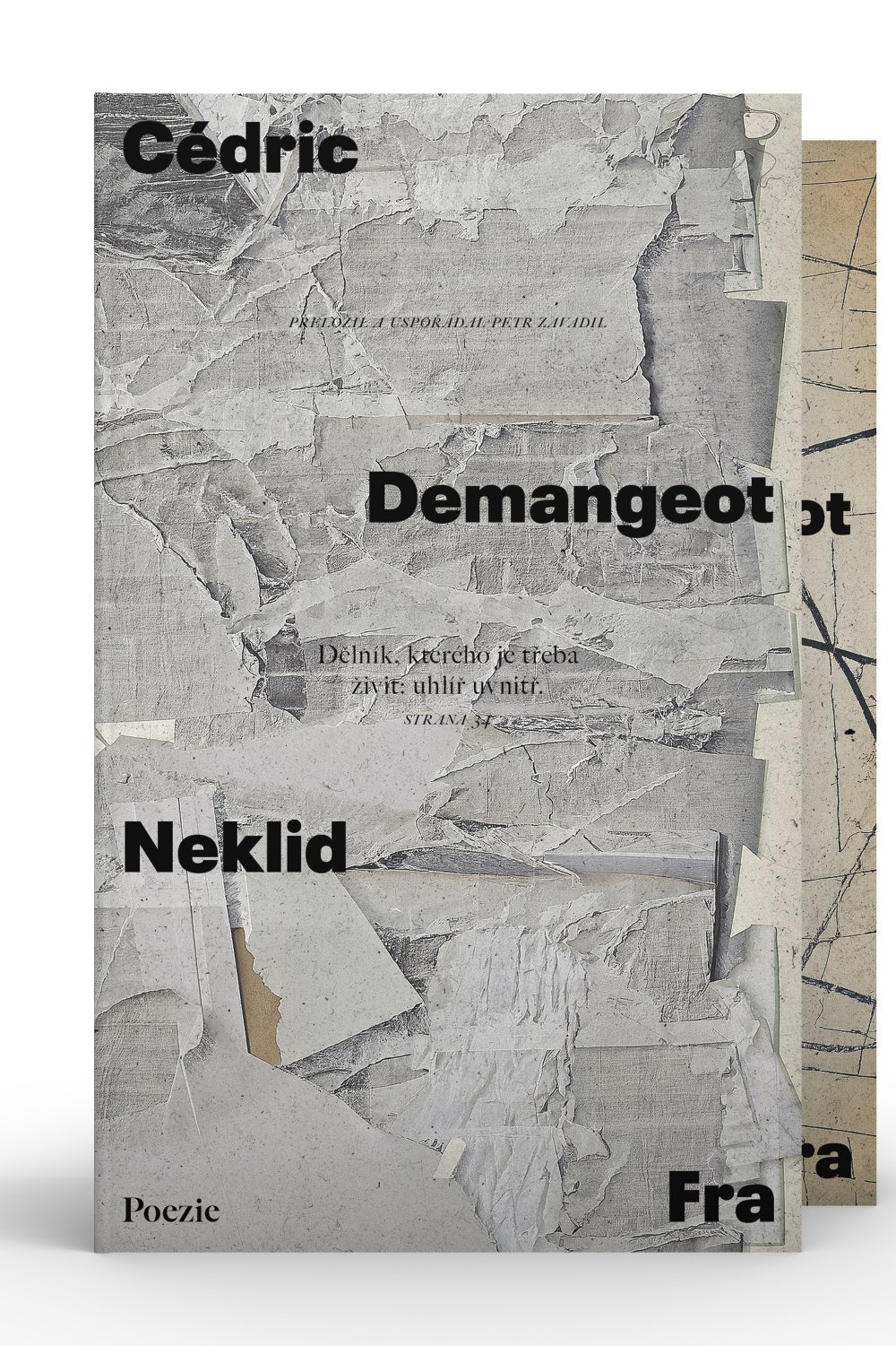 Cédric Demangeot, Neklid, mu1_duo_s.jpg