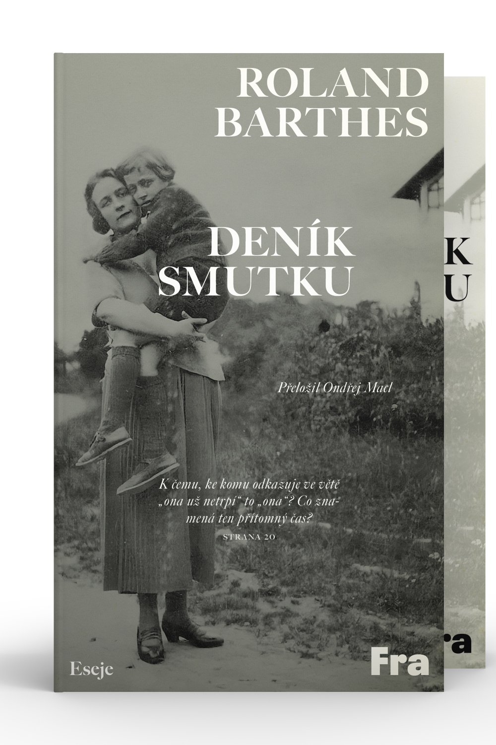 Roland Barthes, Deník smutku