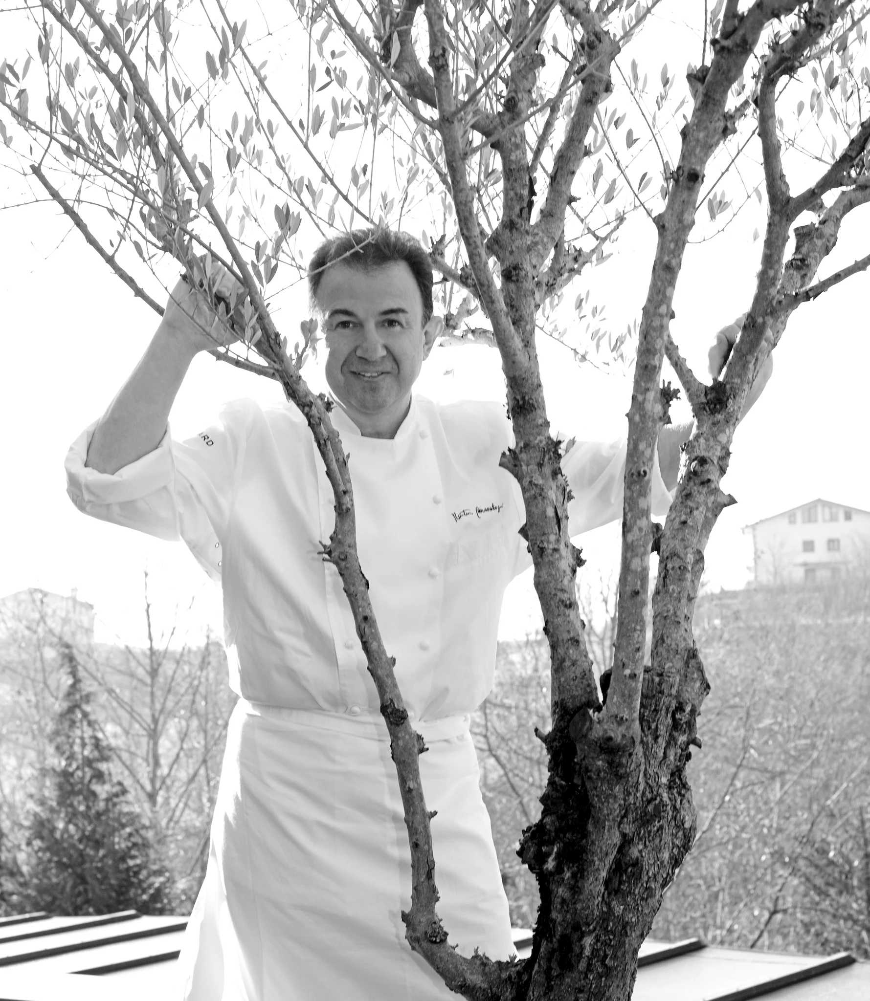 retrato publicar.jpg