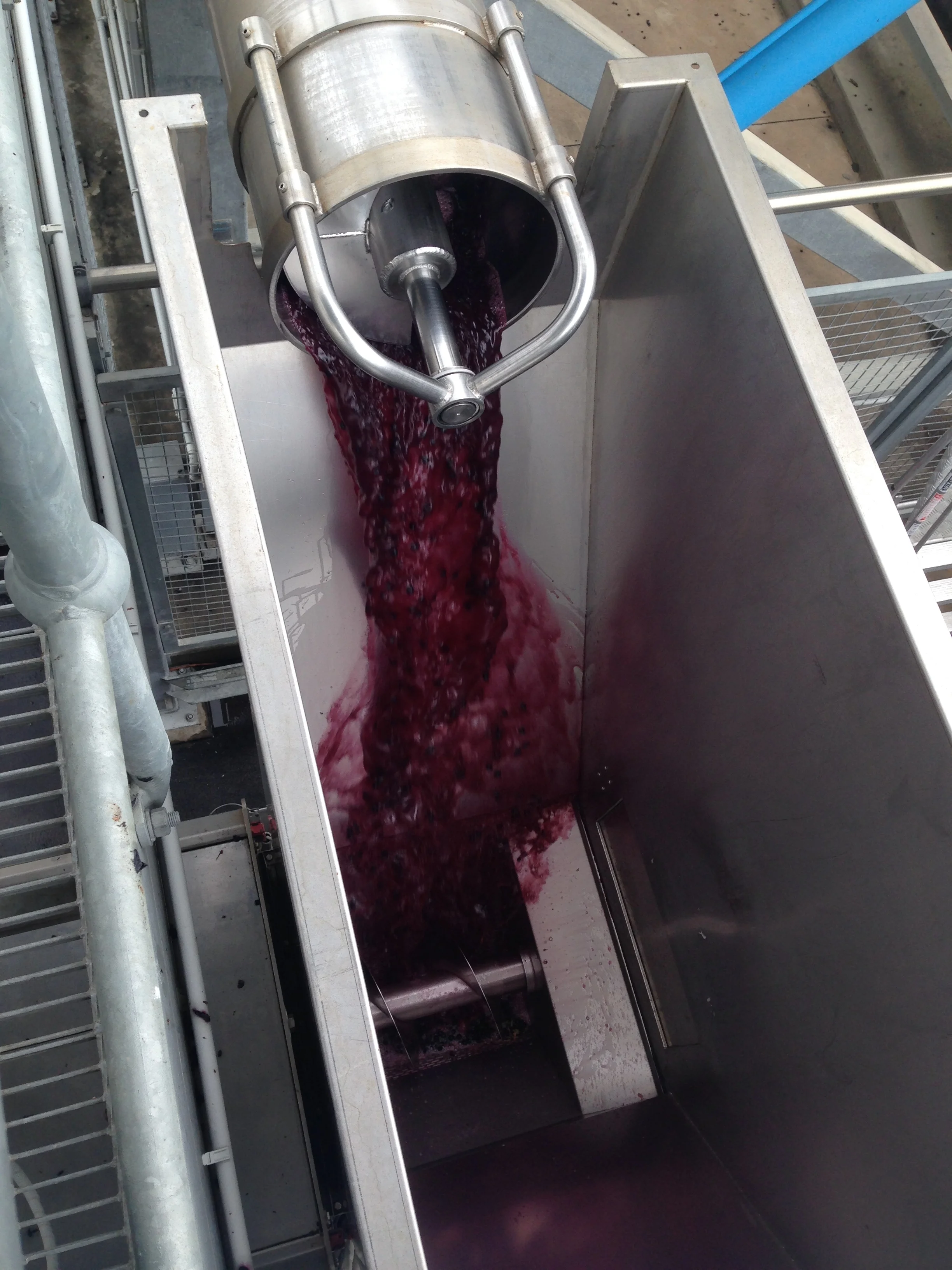 Free flowing grape juice on it's way into the winery