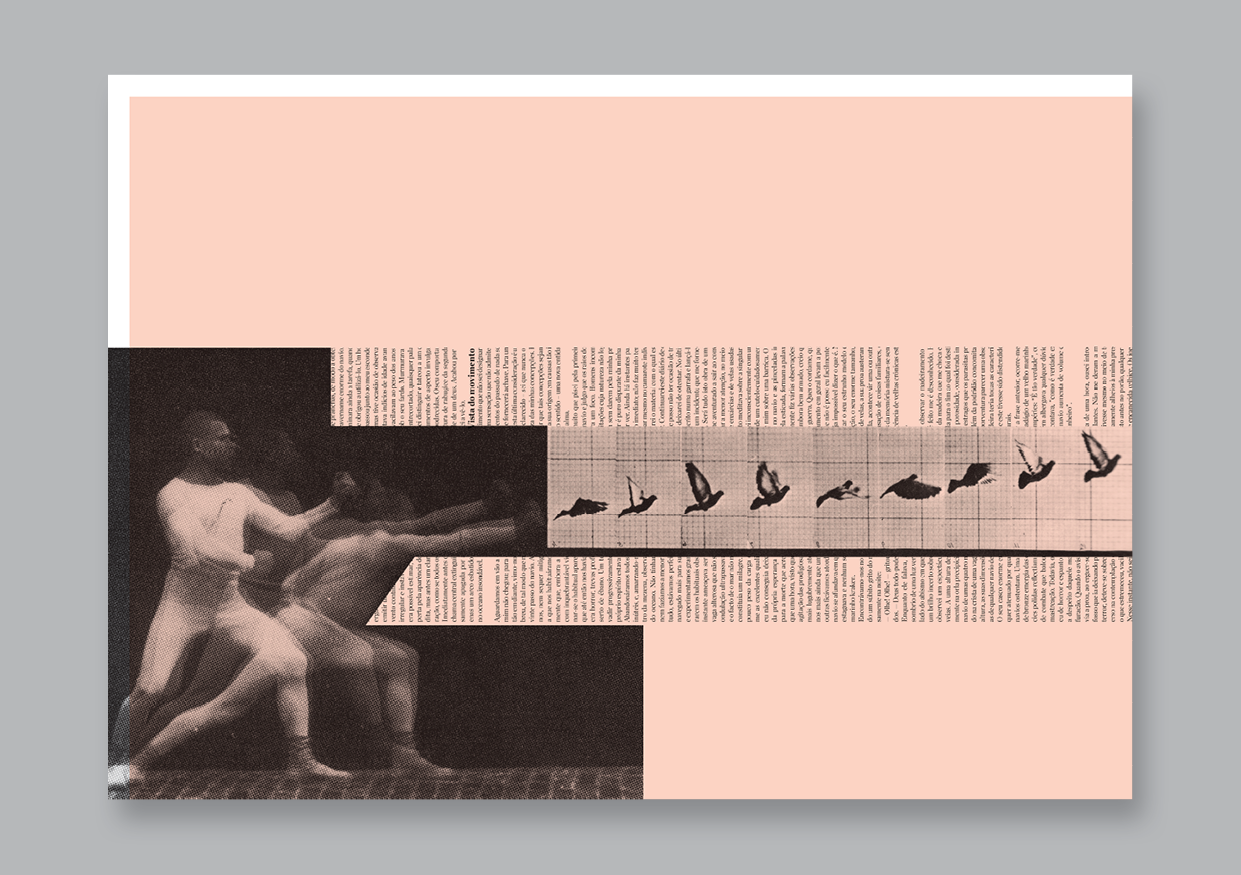 cesariny_behance4.png