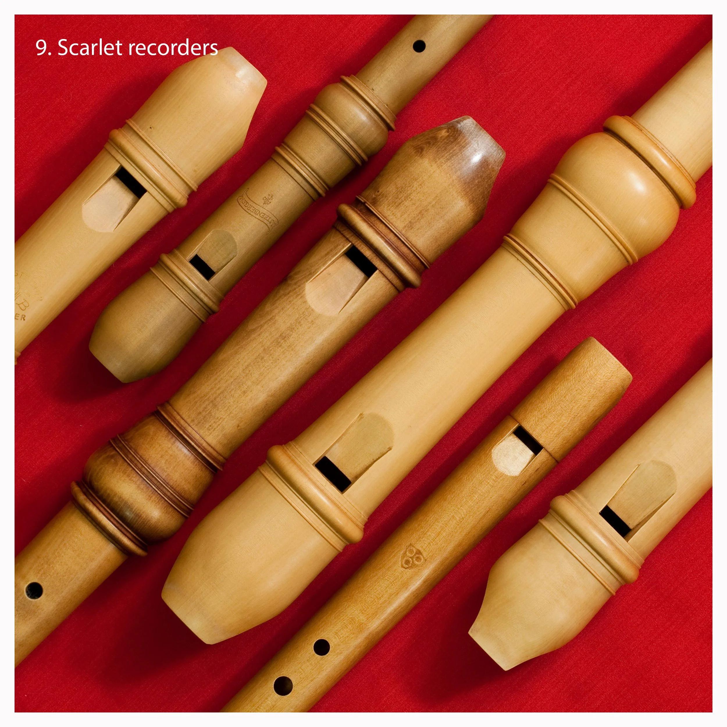 9 Scarlet recorders square.jpg