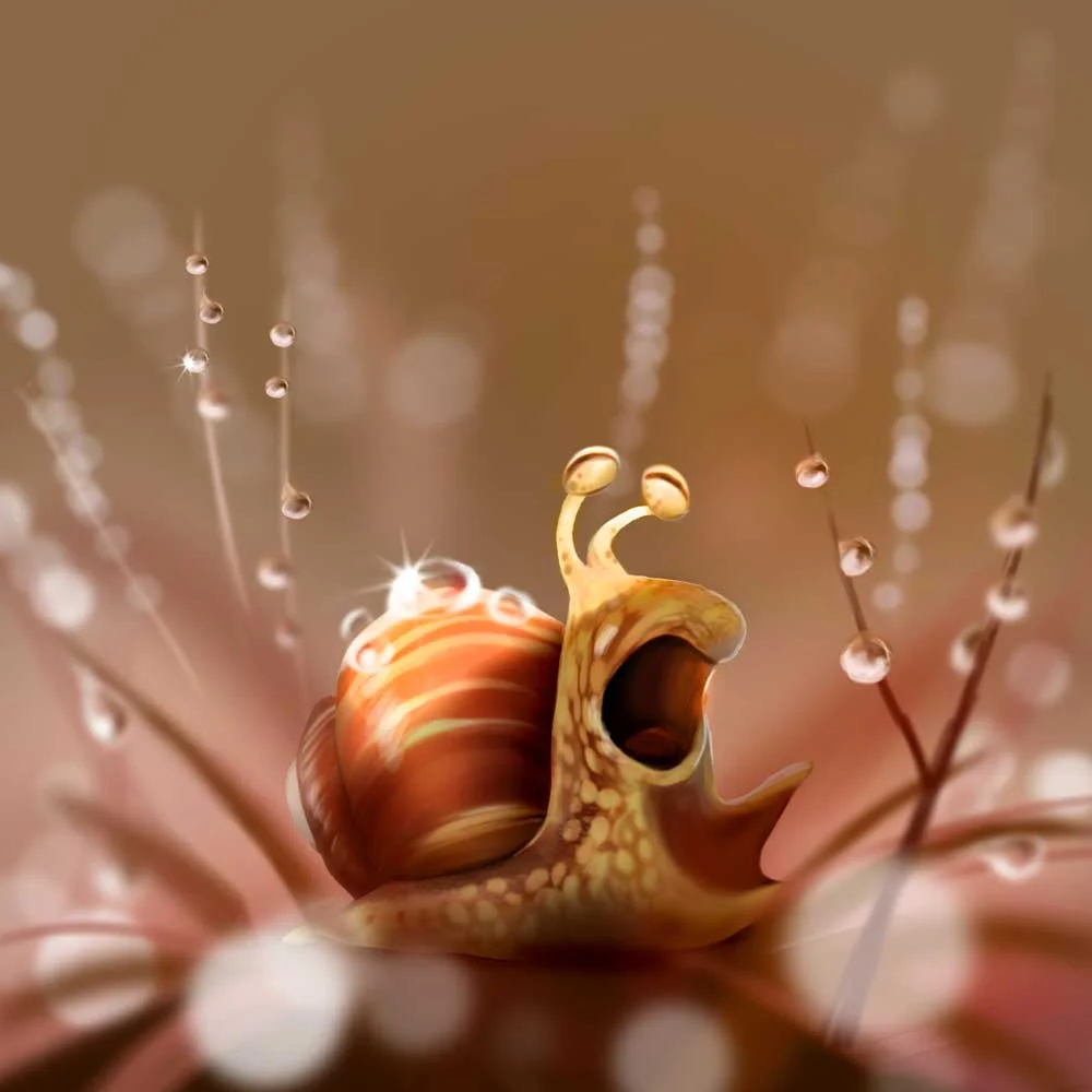 0047_Snail_DEW.jpg