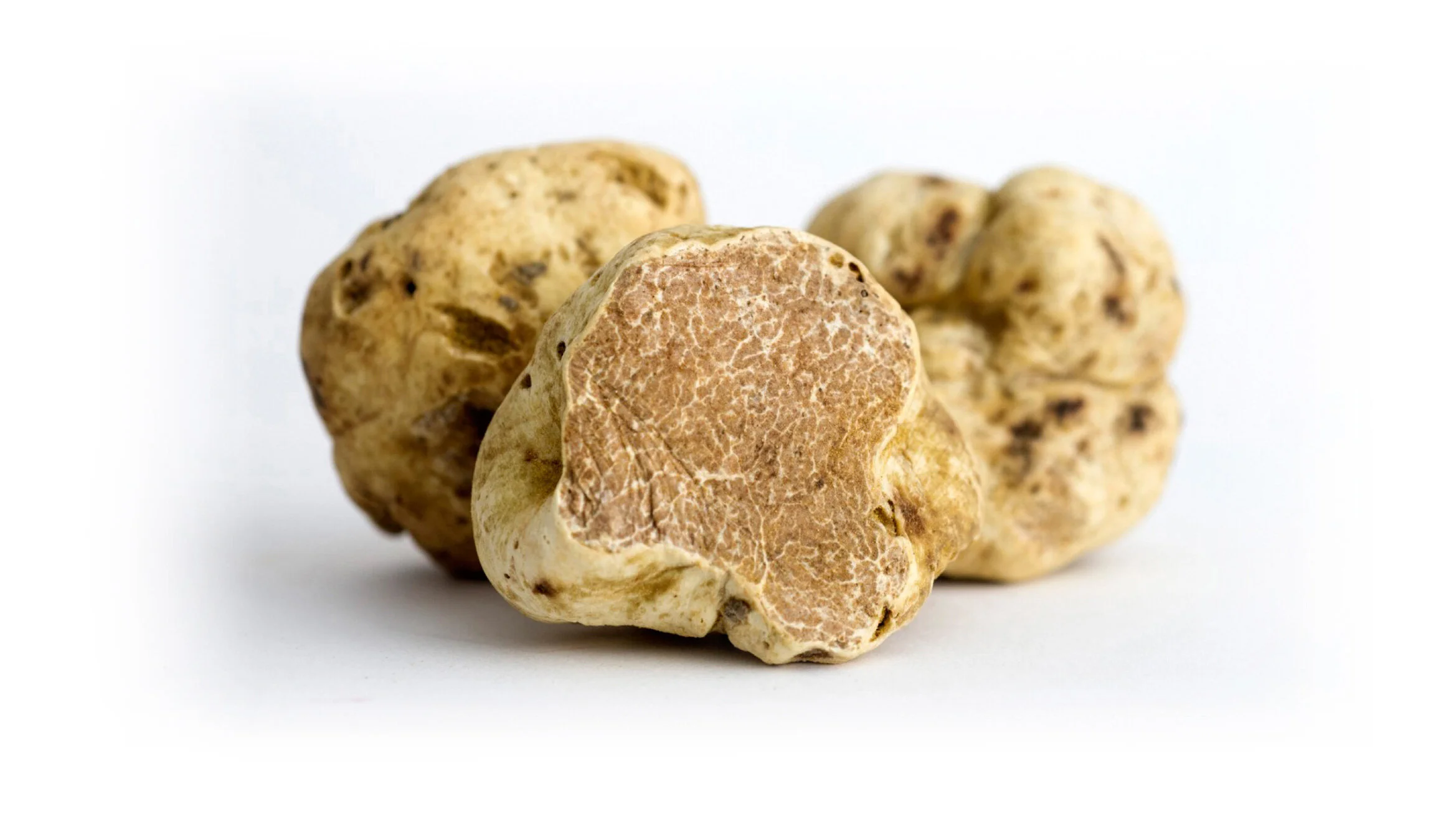 White Truffle Stockholm