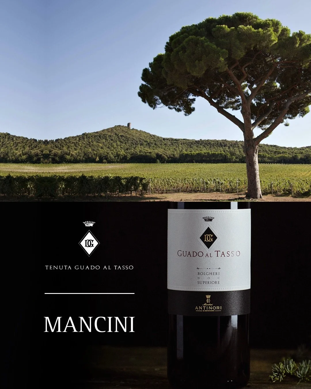 Attenzione amici! In collaboration with Guado al Tasso and Ward Wines we are more than happy to welcome you to Winemakers Dinner on Wednesday 6th of May at Mancini 📅🍷

Together with the wine producer Guado al Tasso and the wine importer Ward Wines 