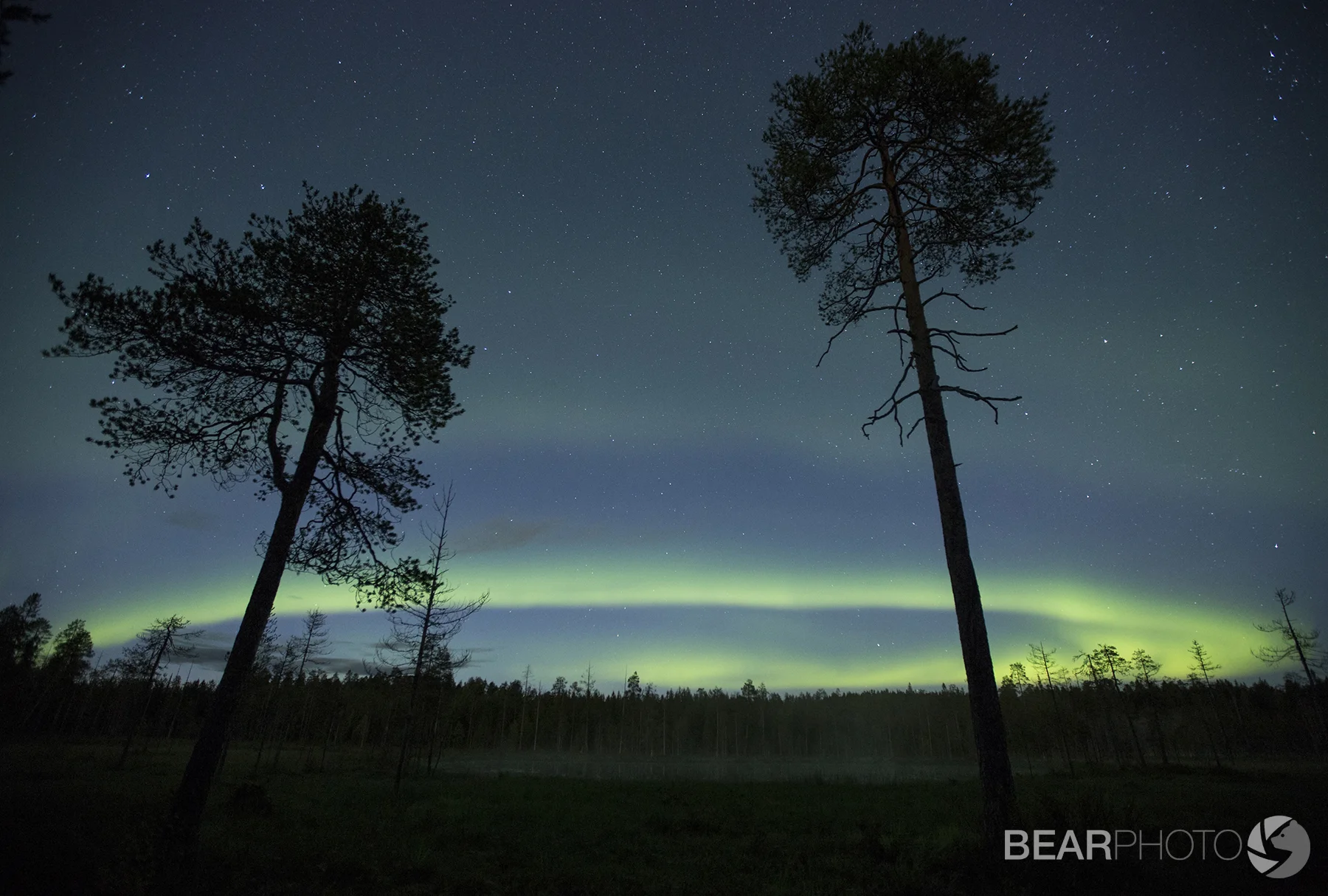 Aurora_IMG_1027.jpg