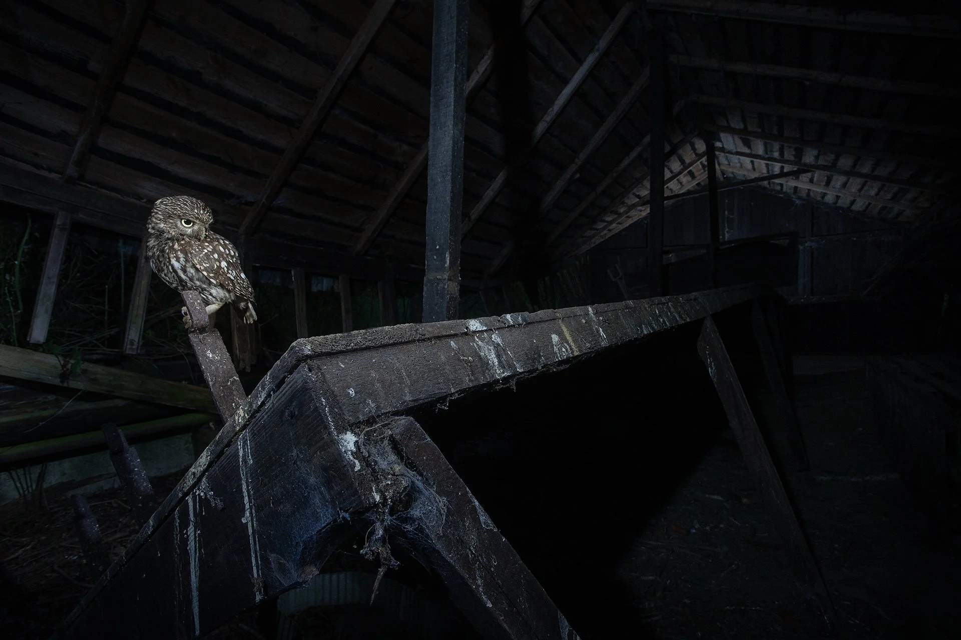 LO_Barn.jpg