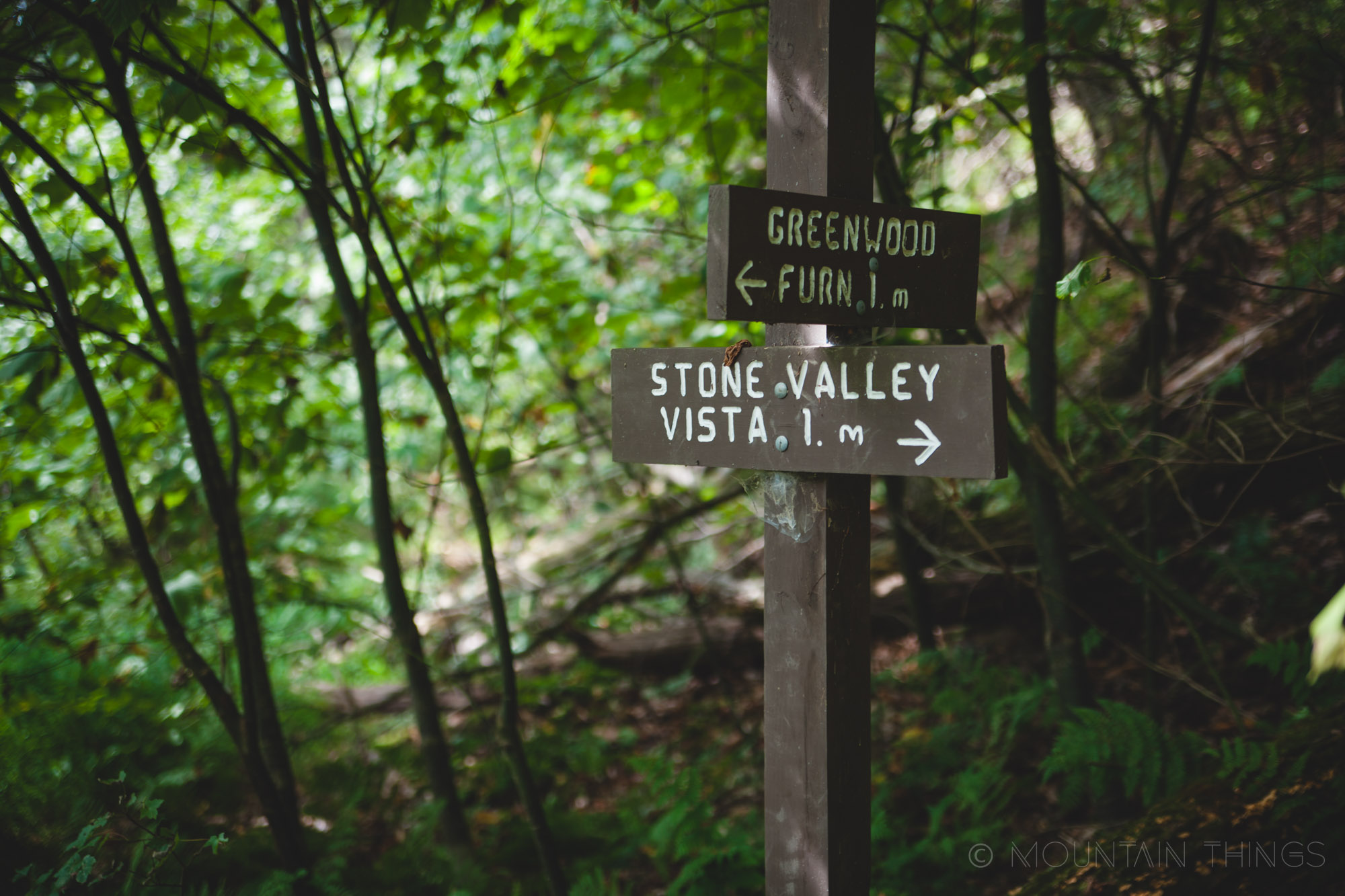 Rothrock State Forest in Greenwood Furnace State Park | Mountain Things