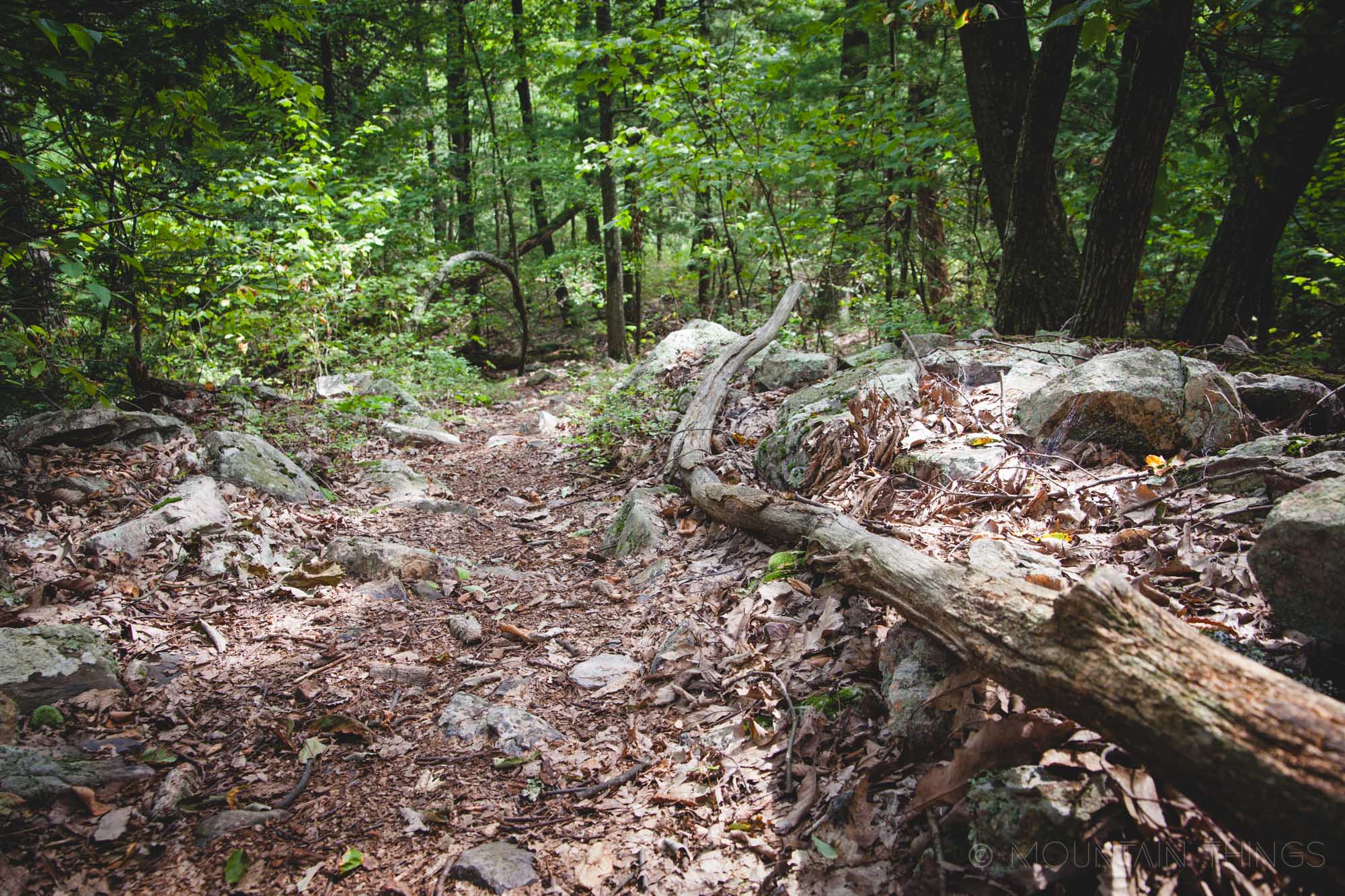 Rothrock State Forest in Greenwood Furnace State Park | Mountain Things