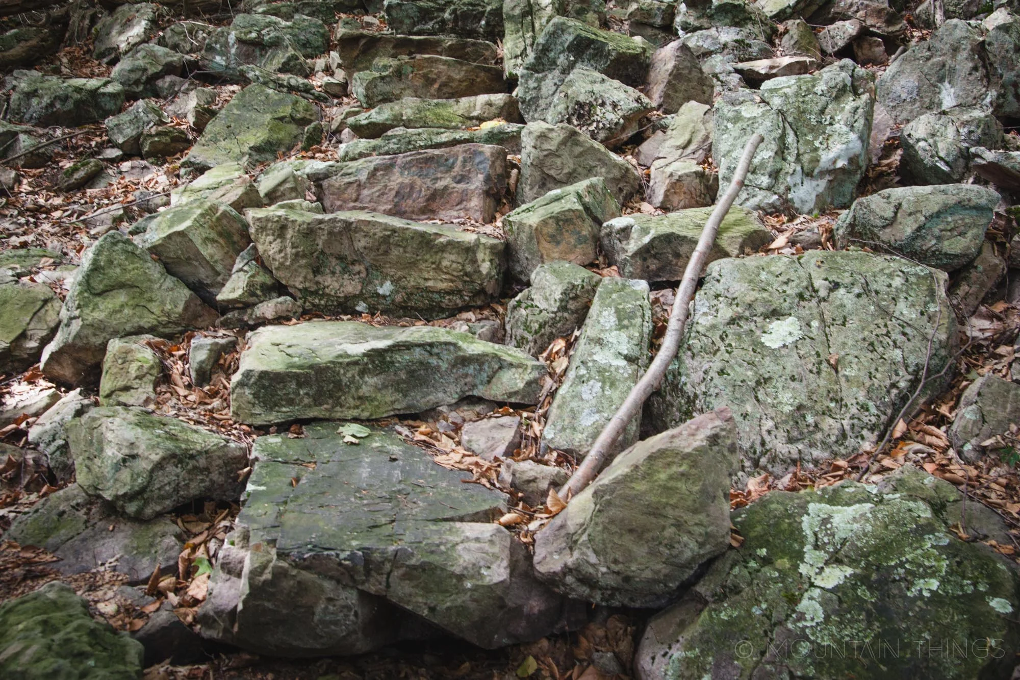 Rothrock State Forest in Greenwood Furnace State Park | Mountain Things