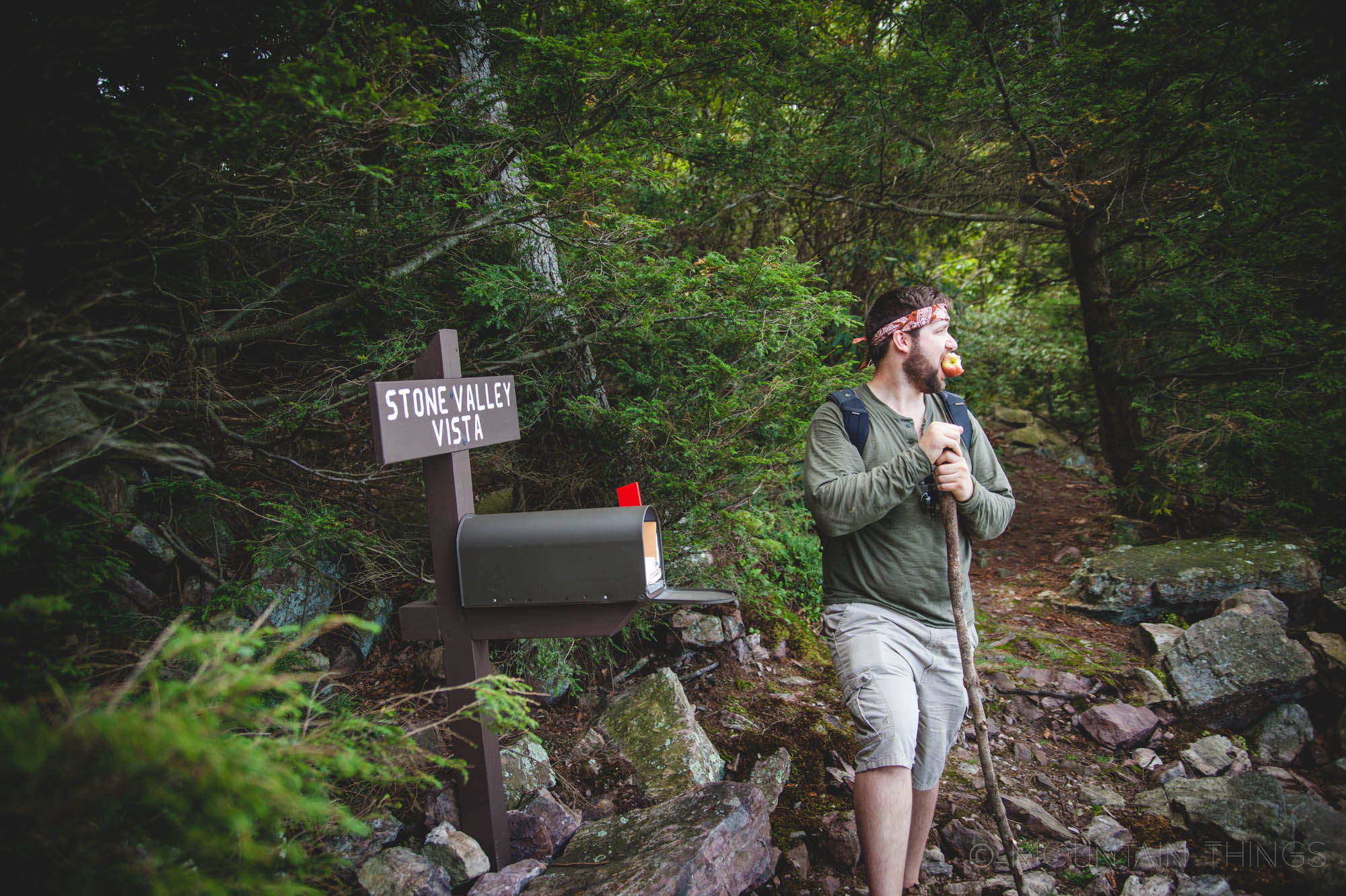 Rothrock State Forest in Greenwood Furnace State Park | Mountain Things