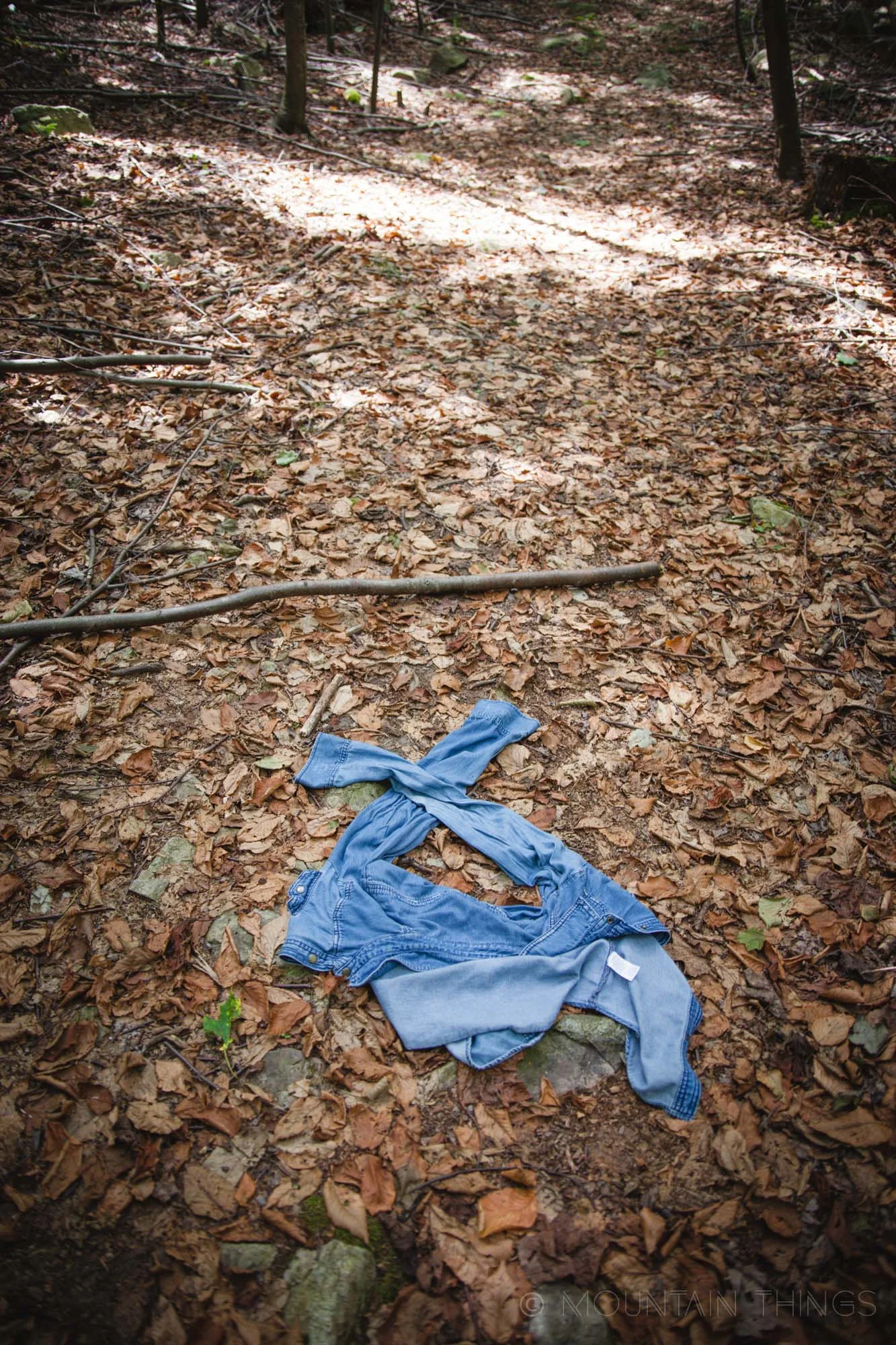 This is the aftermath of walking through a web and feeling a spider on my neck. Never before have I removed a piece of clothing so quickly.