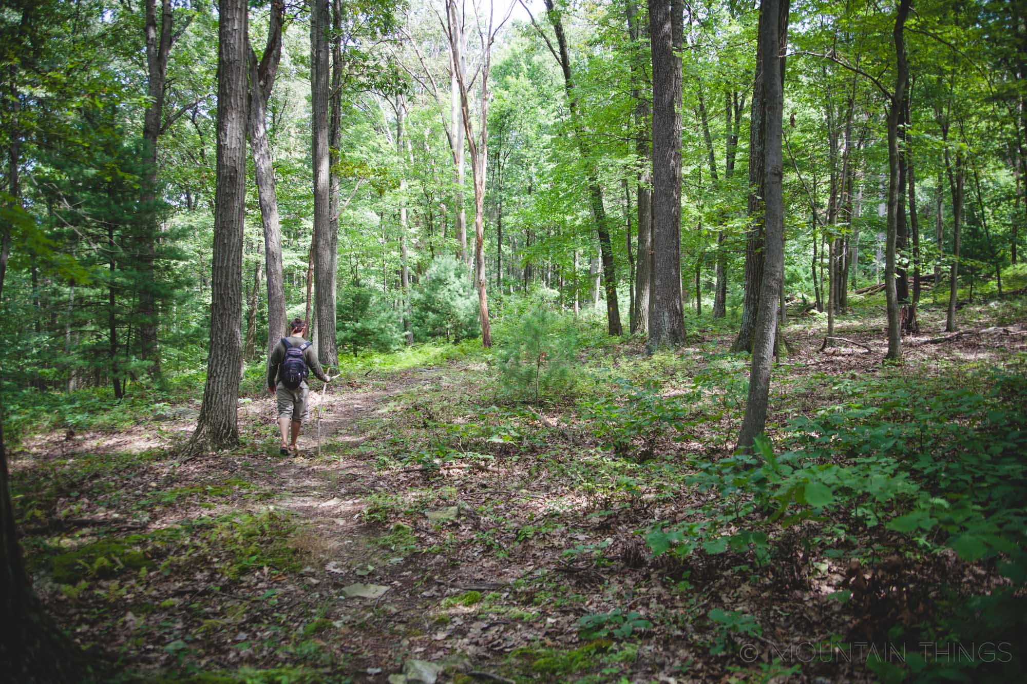 Rothrock State Forest in Greenwood Furnace State Park | Mountain Things