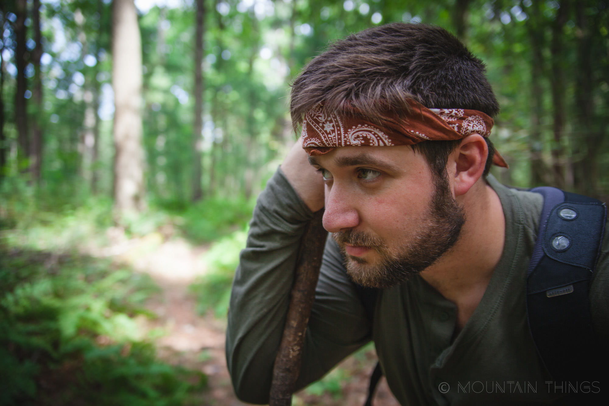 Rothrock State Forest in Greenwood Furnace State Park | Mountain Things