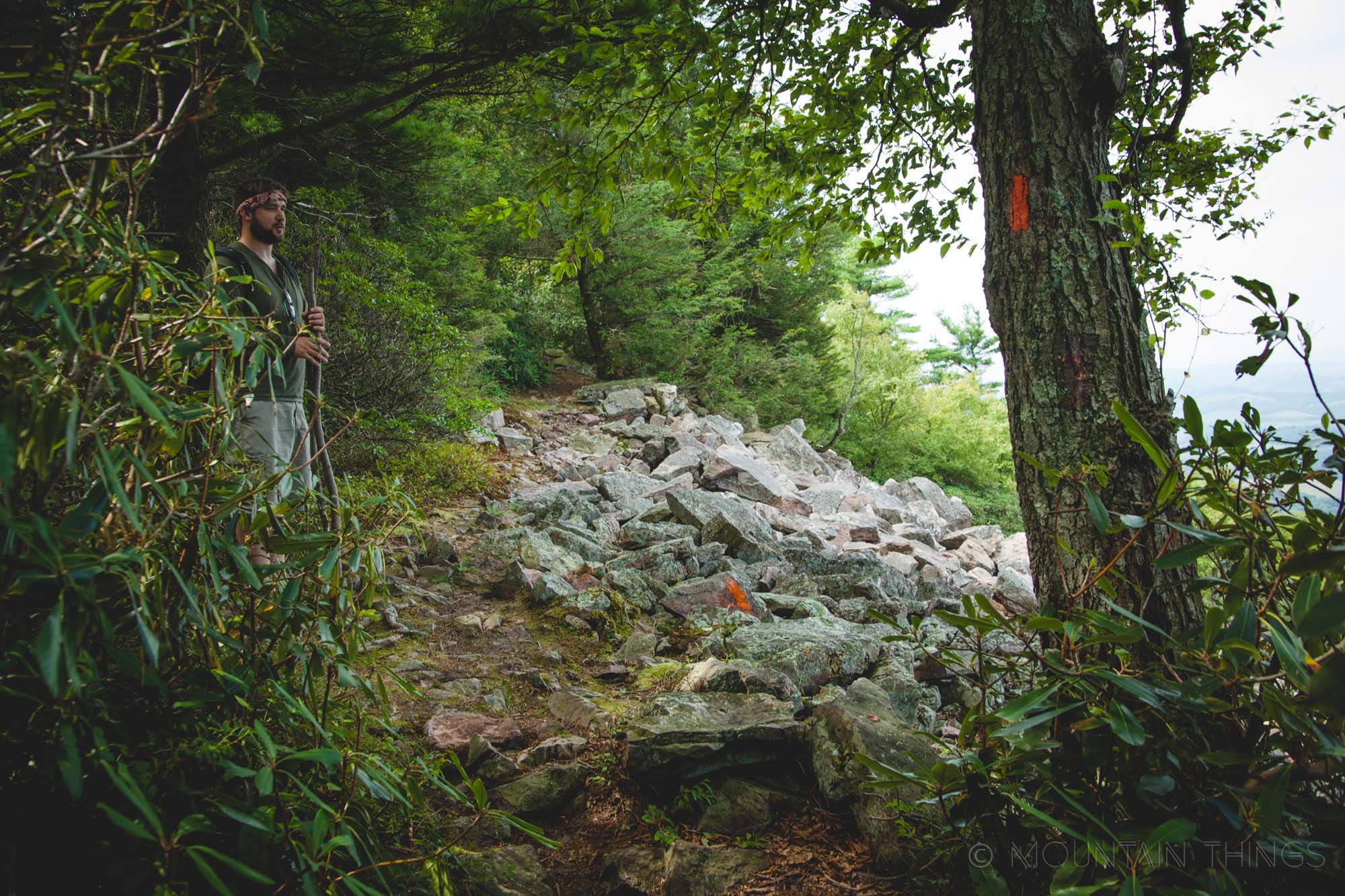 Rothrock State Forest in Greenwood Furnace State Park | Mountain Things