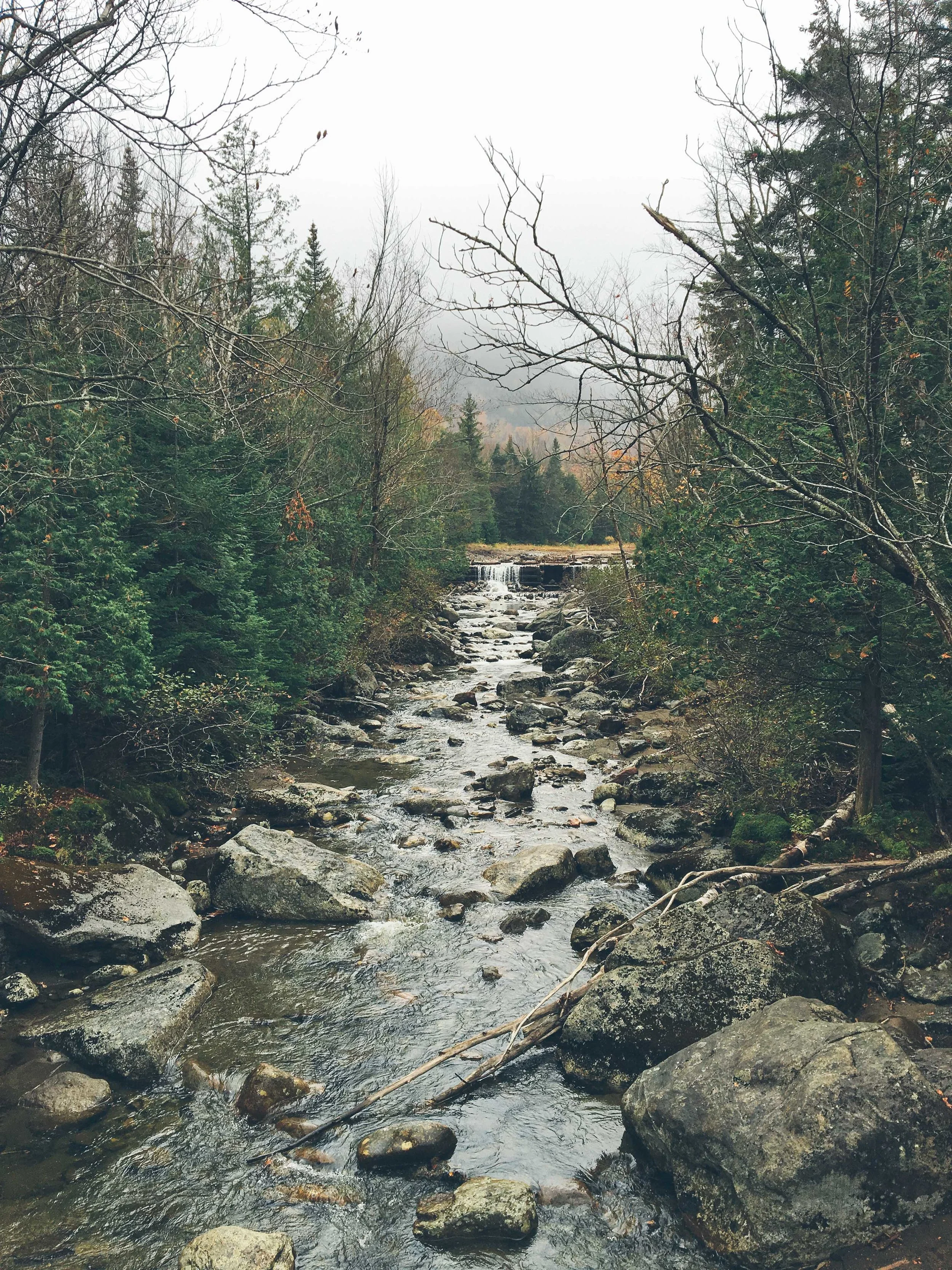 mt. colden trail the adirondacks high peaks | mountain things