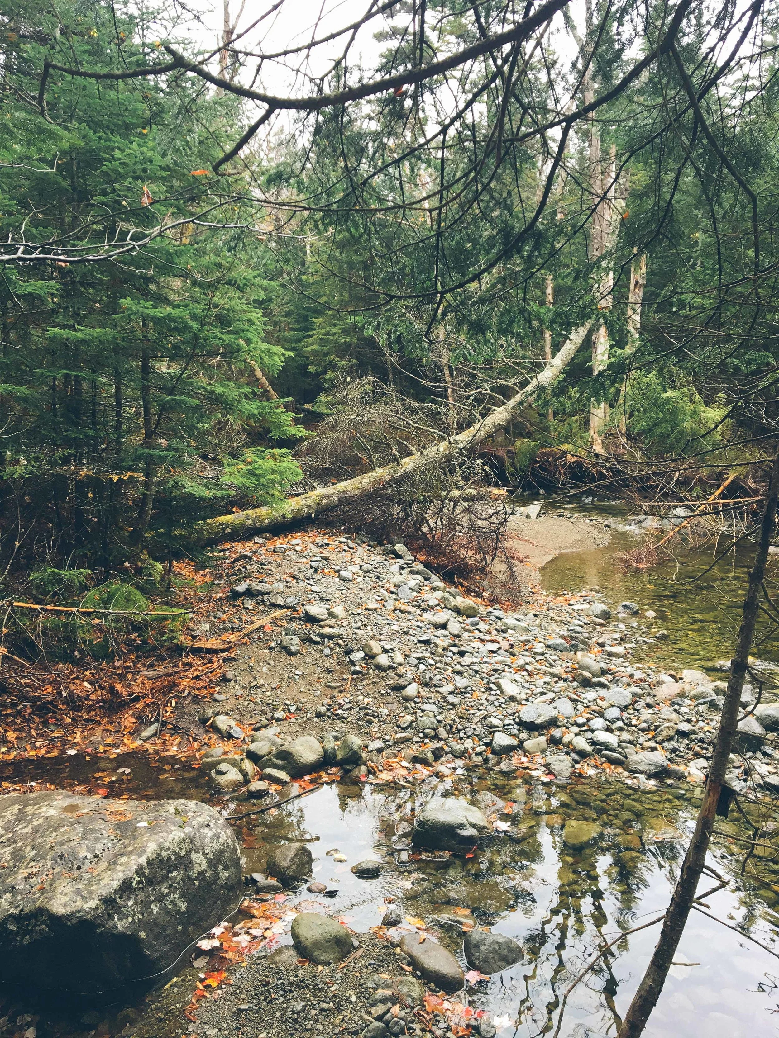 mt. colden trail the adirondacks high peaks | mountain things