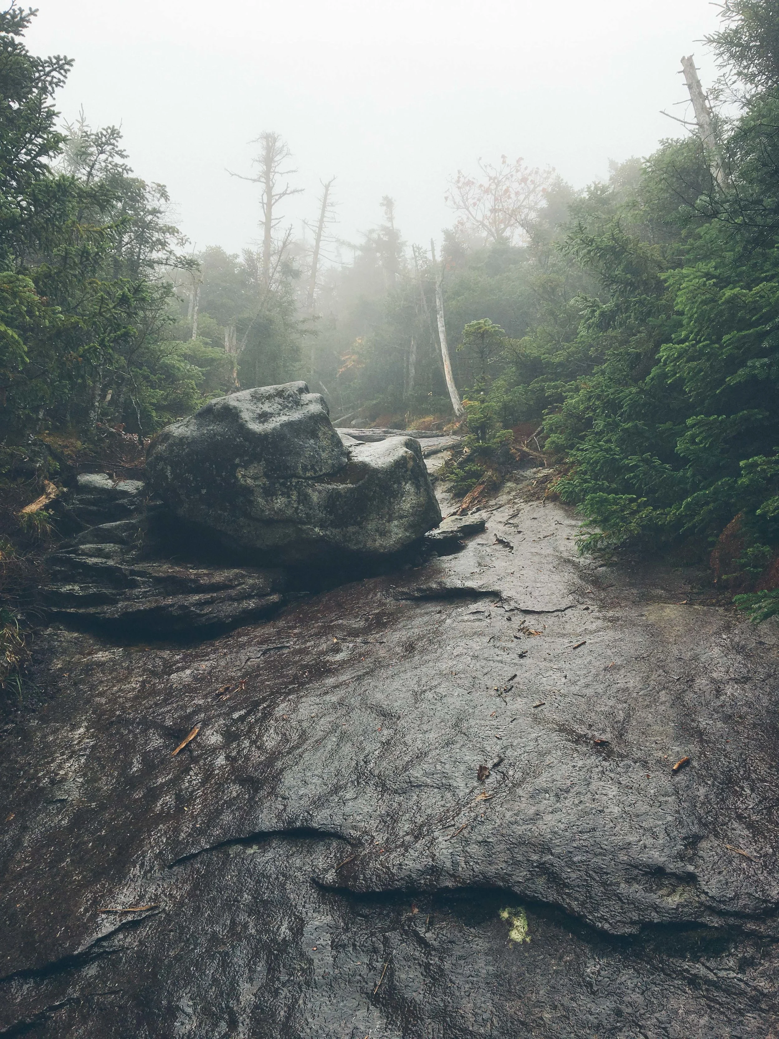 Mt. Colden The Adirondacks Misery Mile | Mountain Things
