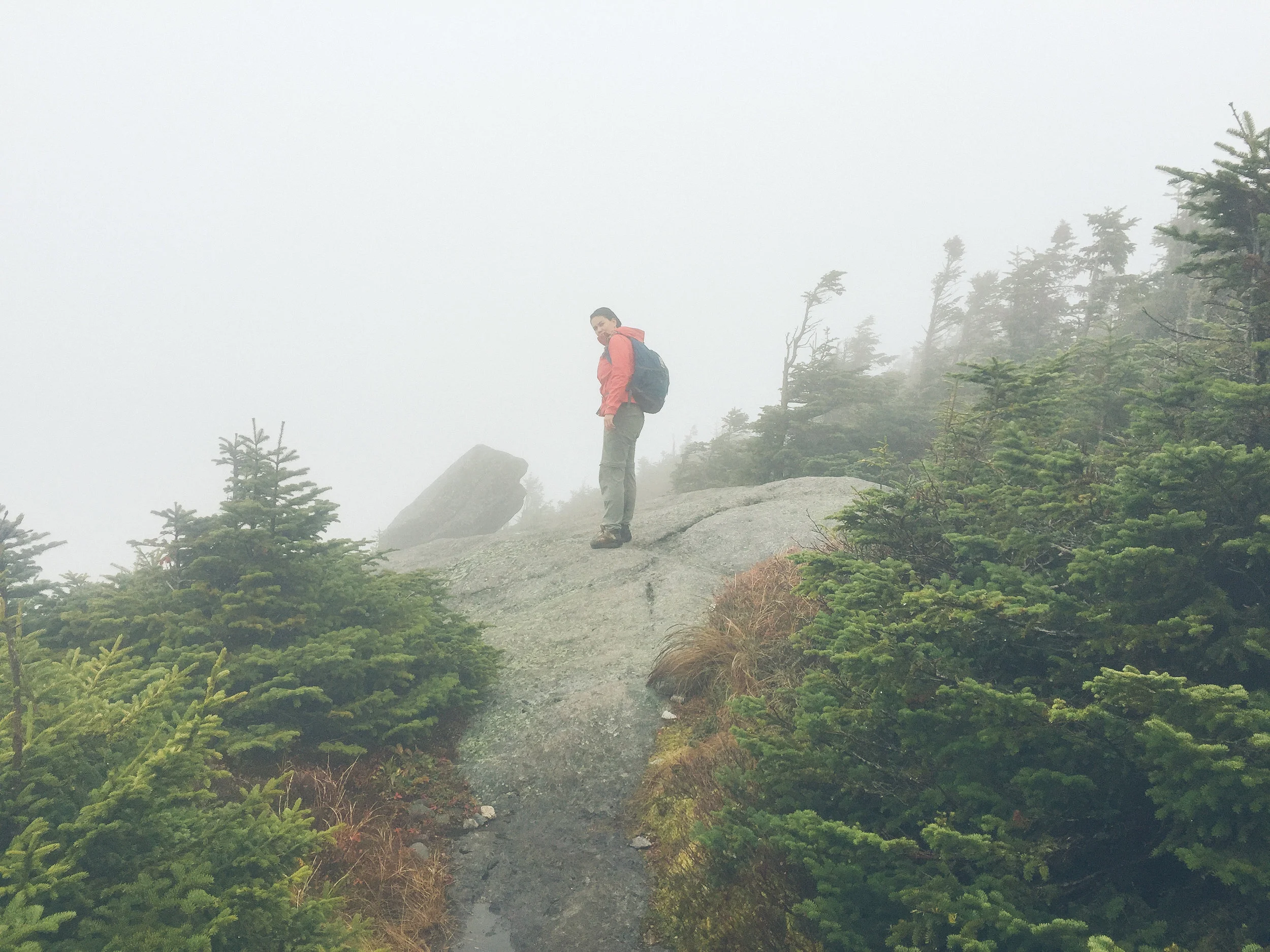 adirondacks-mt-colden-mountain-things (12 of 15).jpg