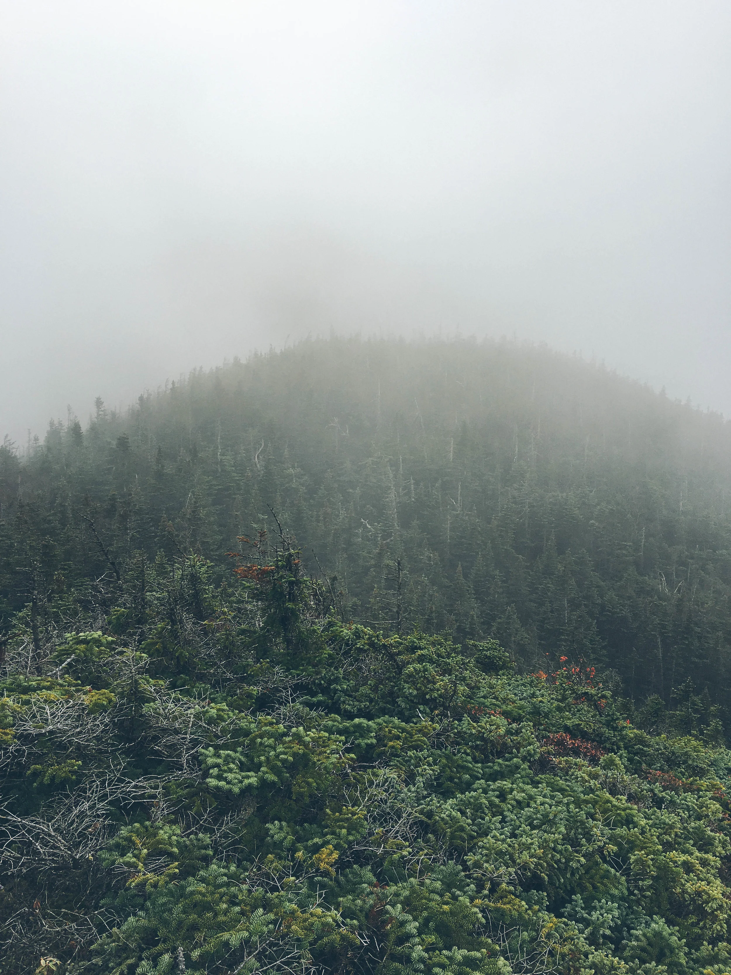 adirondacks-mt-colden-mountain-things (79 of 83).jpg