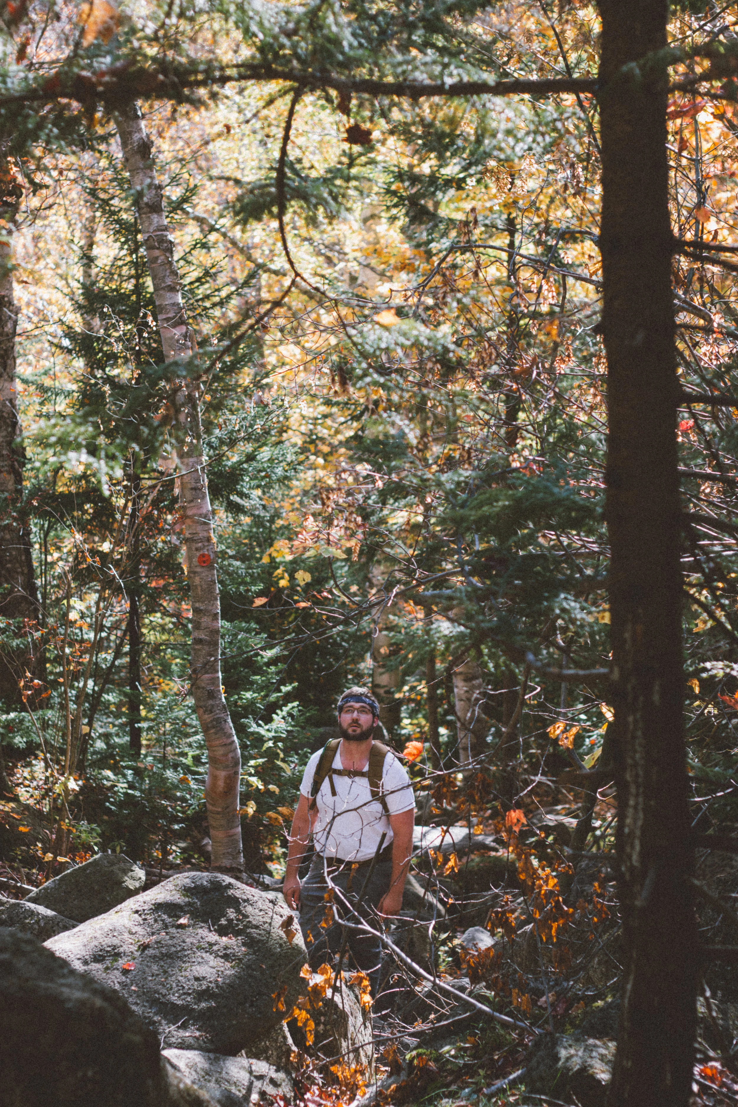 best short hike in the adirondacks lake placid