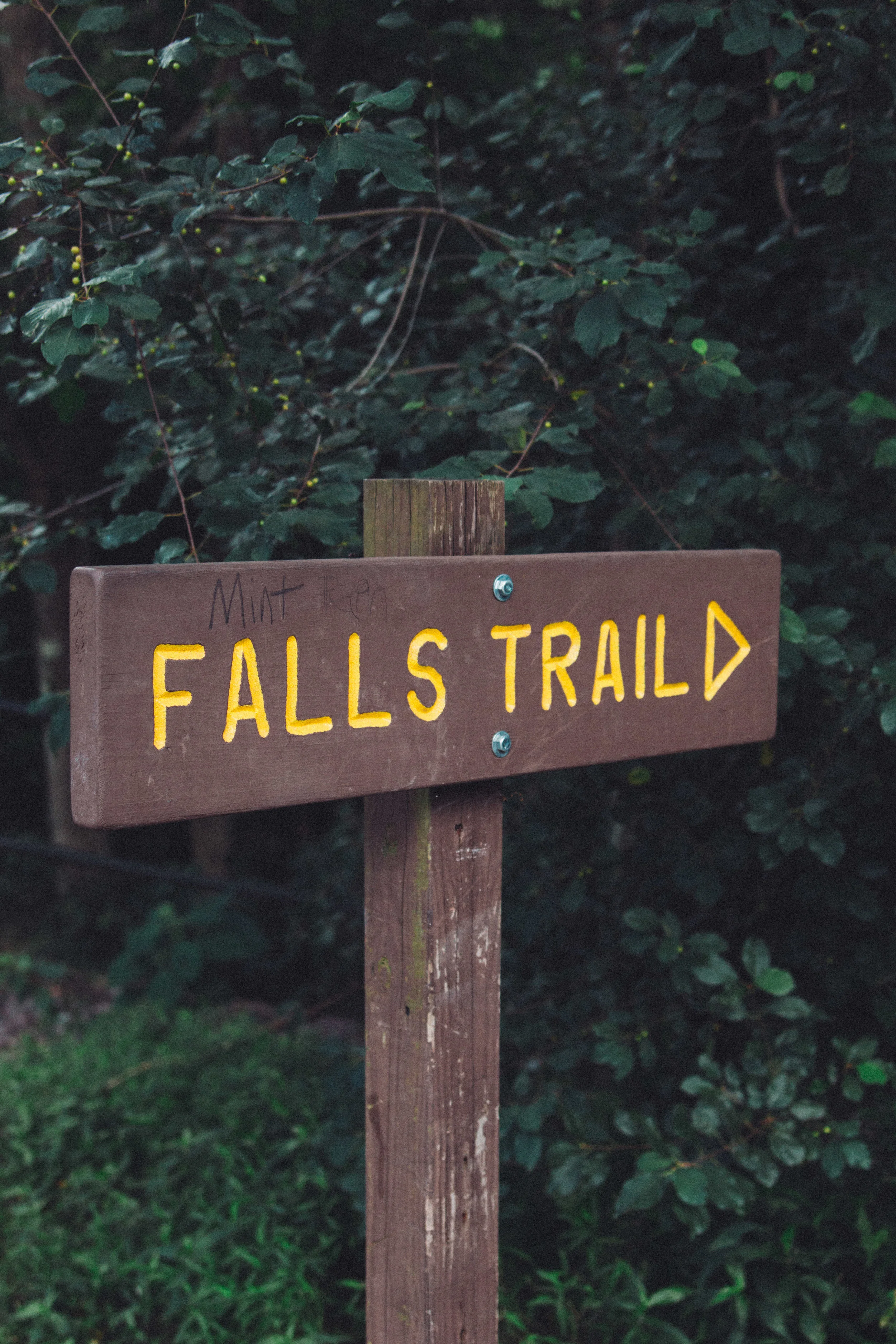 Glen-Onoko-Falls-Mountain-Things-2.jpg