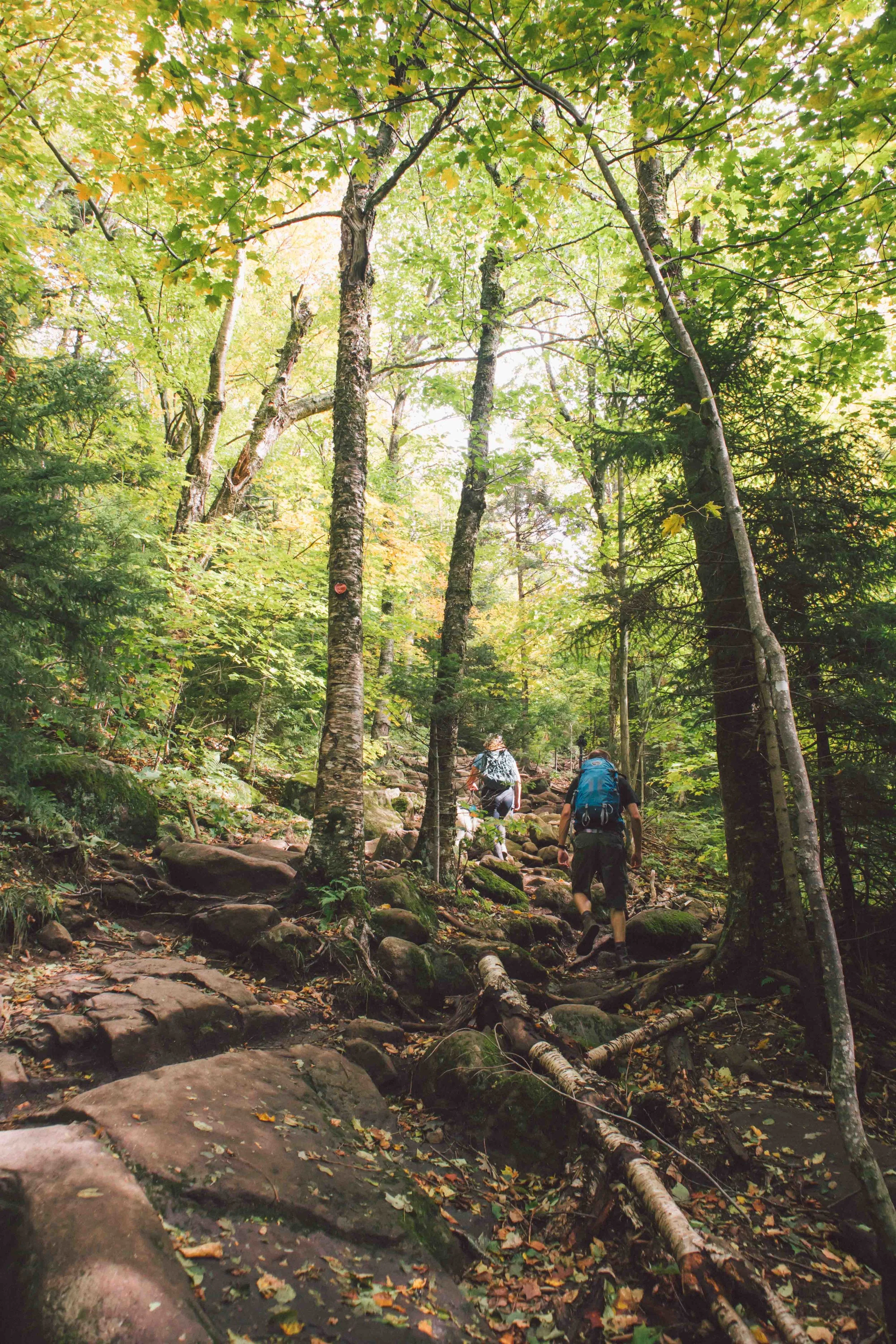 Adirondacks-2018-web-2-3.jpg
