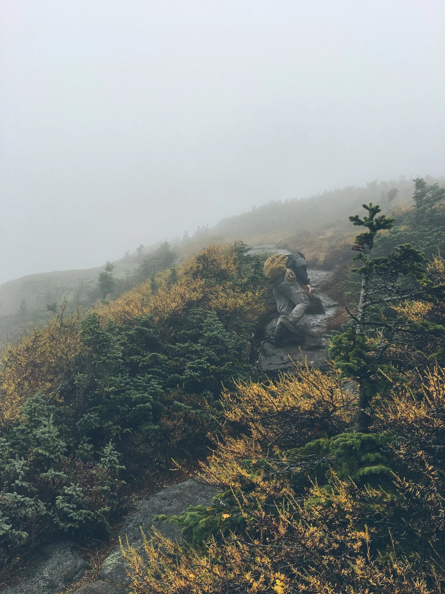 adirondacks-mt-colden-mountain-things+(70+of+83).jpg