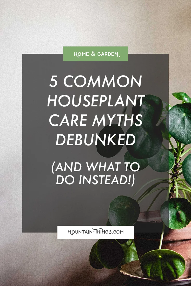 five-houseplant-myths.jpg