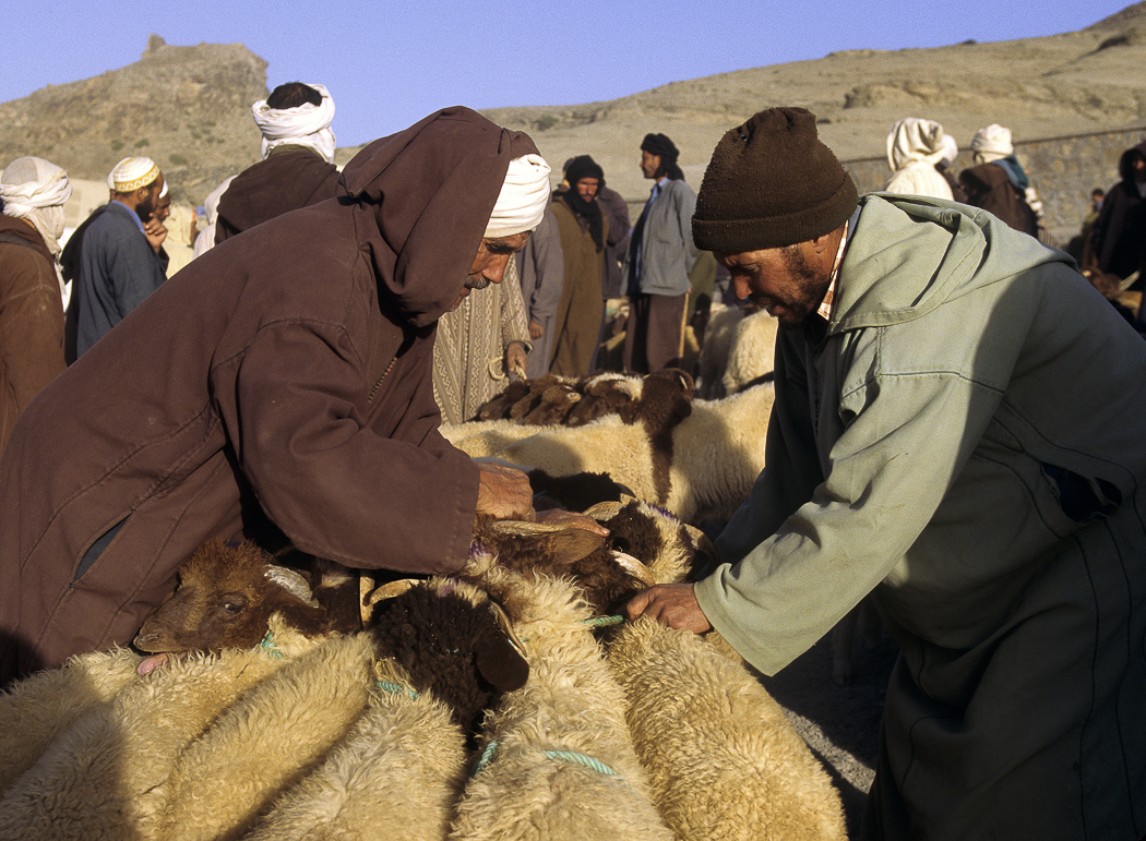 Morocco 8.jpg