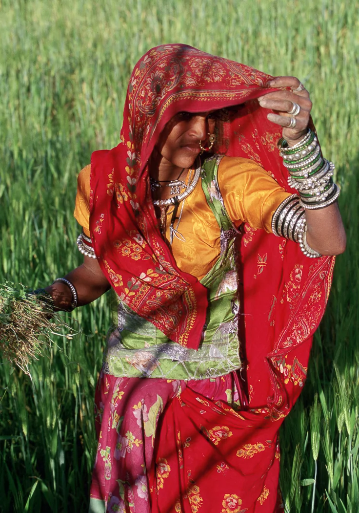 India 18.jpg