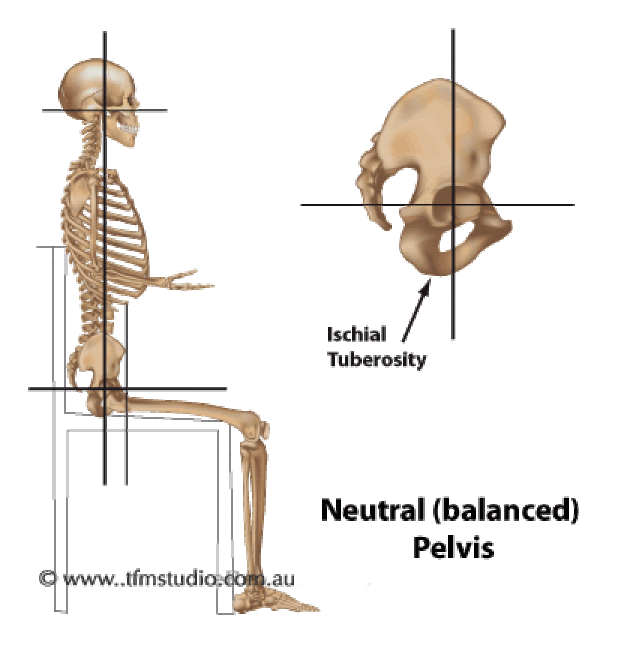 (Von http://www.tfmstudio.com.au/posture/correct-sitting-posture/)