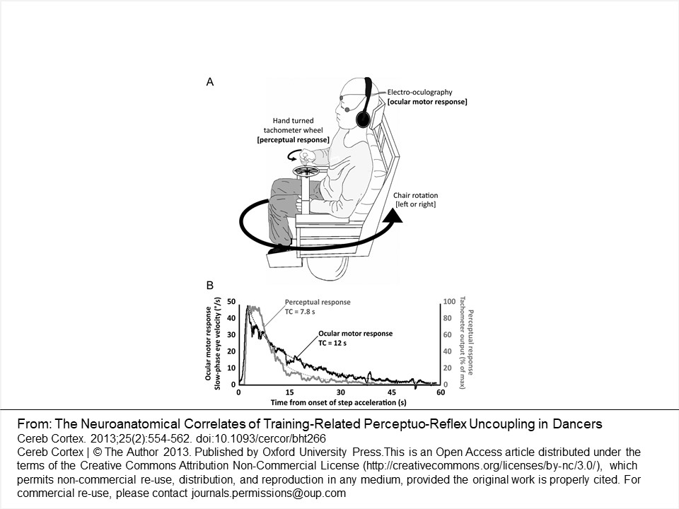 How Crucial is Spotting? Evidence-Based Pirouette Hacks for Adult Ballet Learners