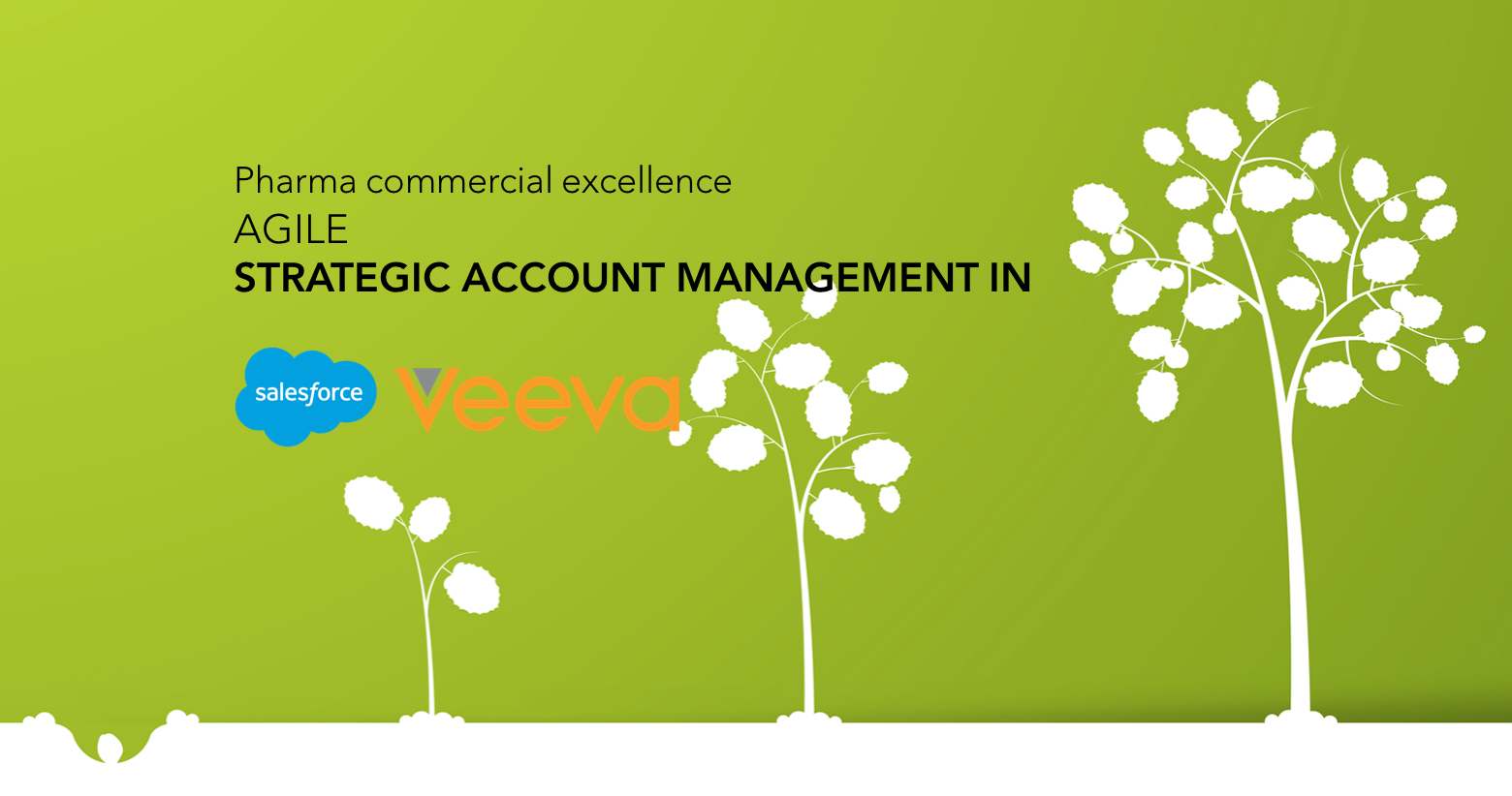 Pharma commercial excellence: Agile Strategic Account Management