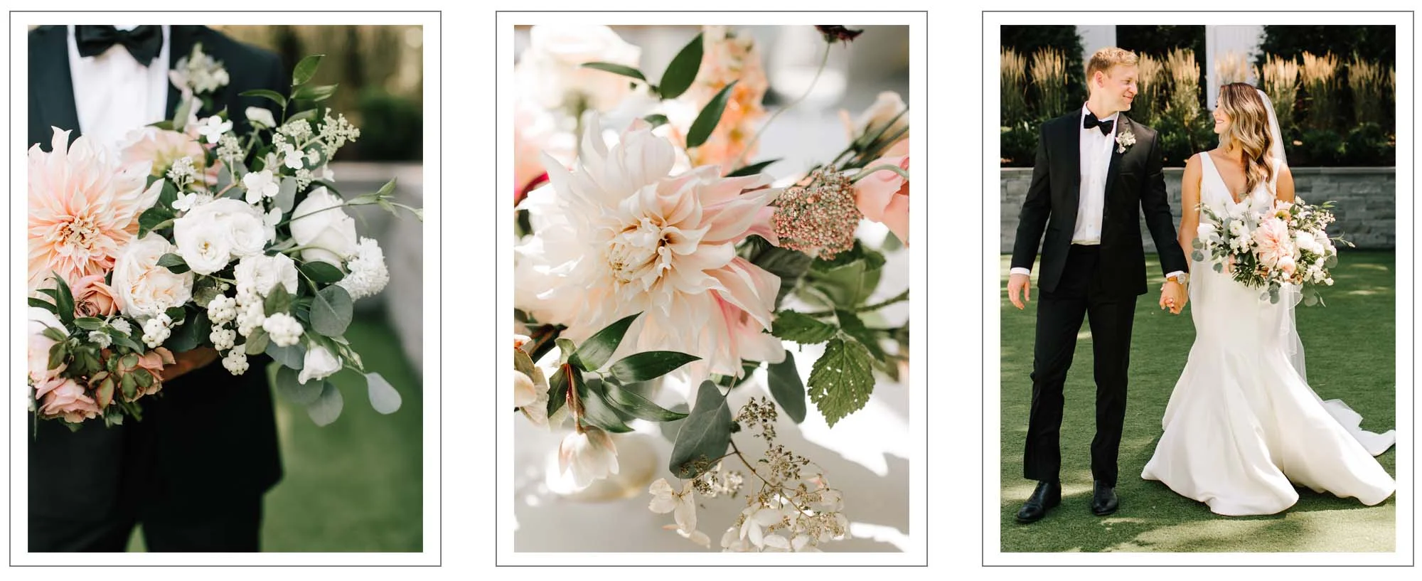 banner_thistlebloom_4.jpg