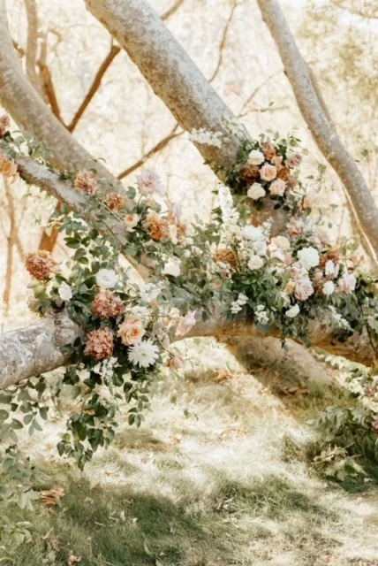 shannon-daniel-ceremony-1_websize (1).JPG